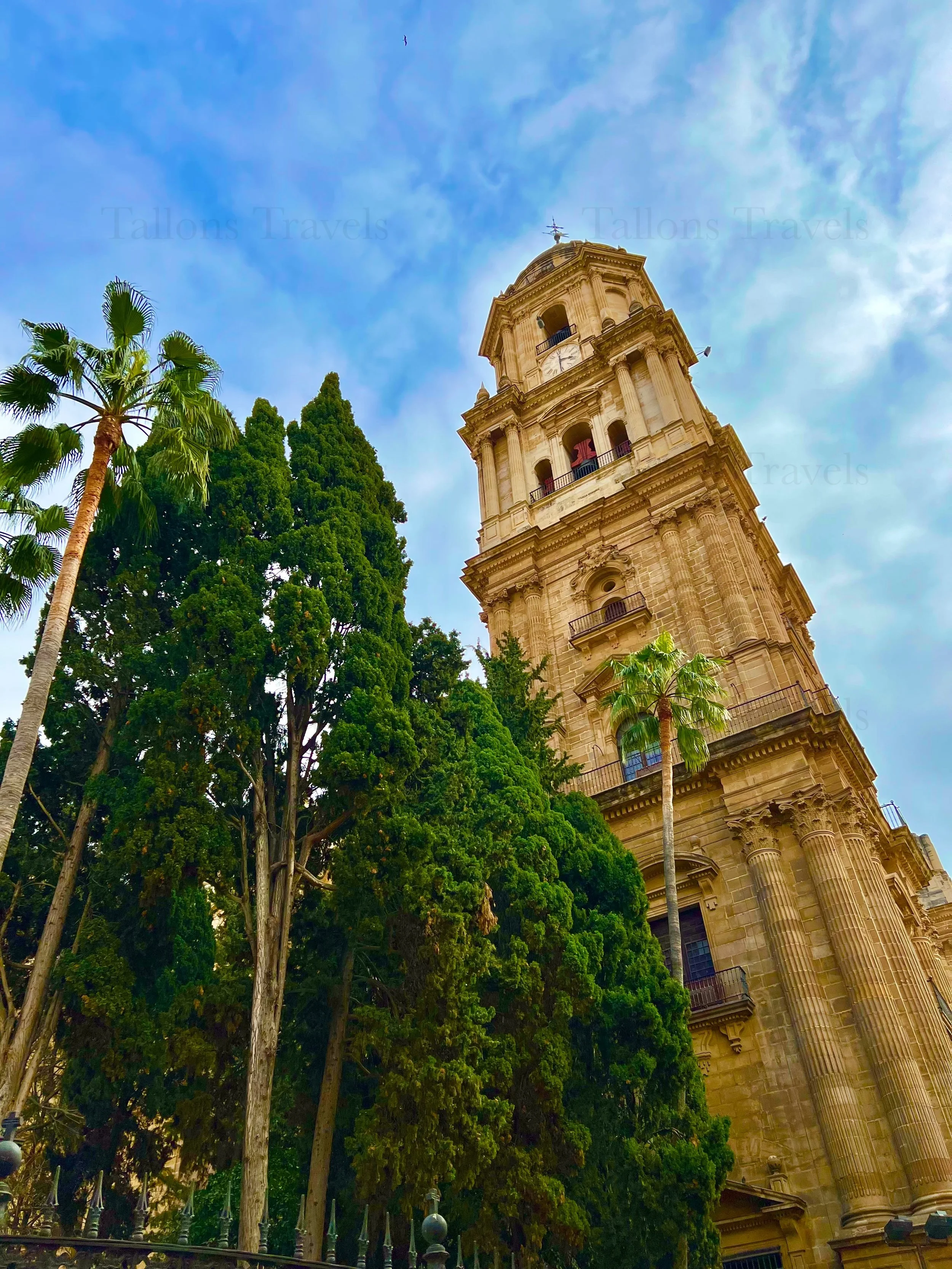 eZy Watermark_27-01-2026_09-21-04-9120PM.jpg