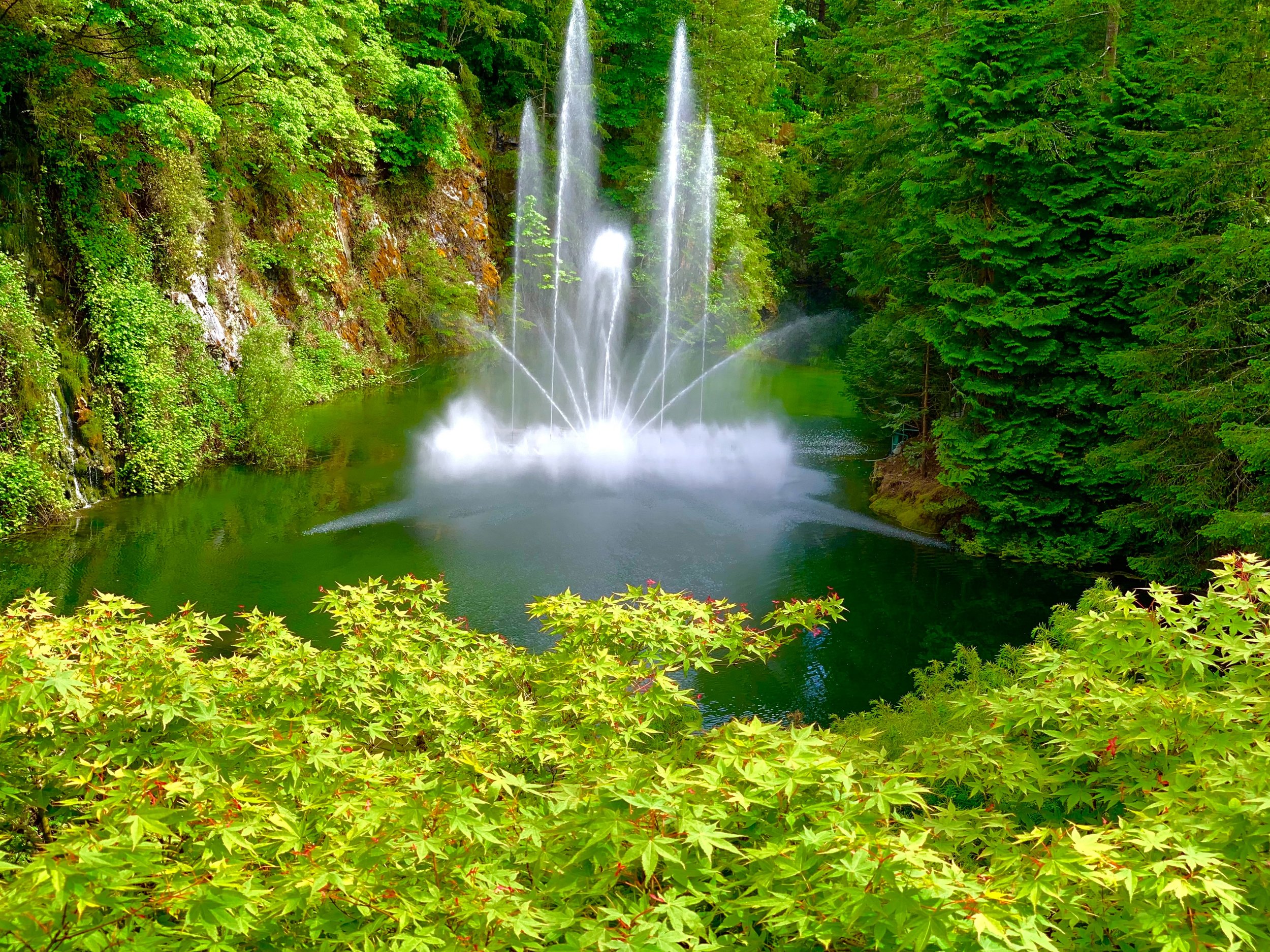 eZy Watermark_27-01-2026_09-11-10-1920PM.jpg