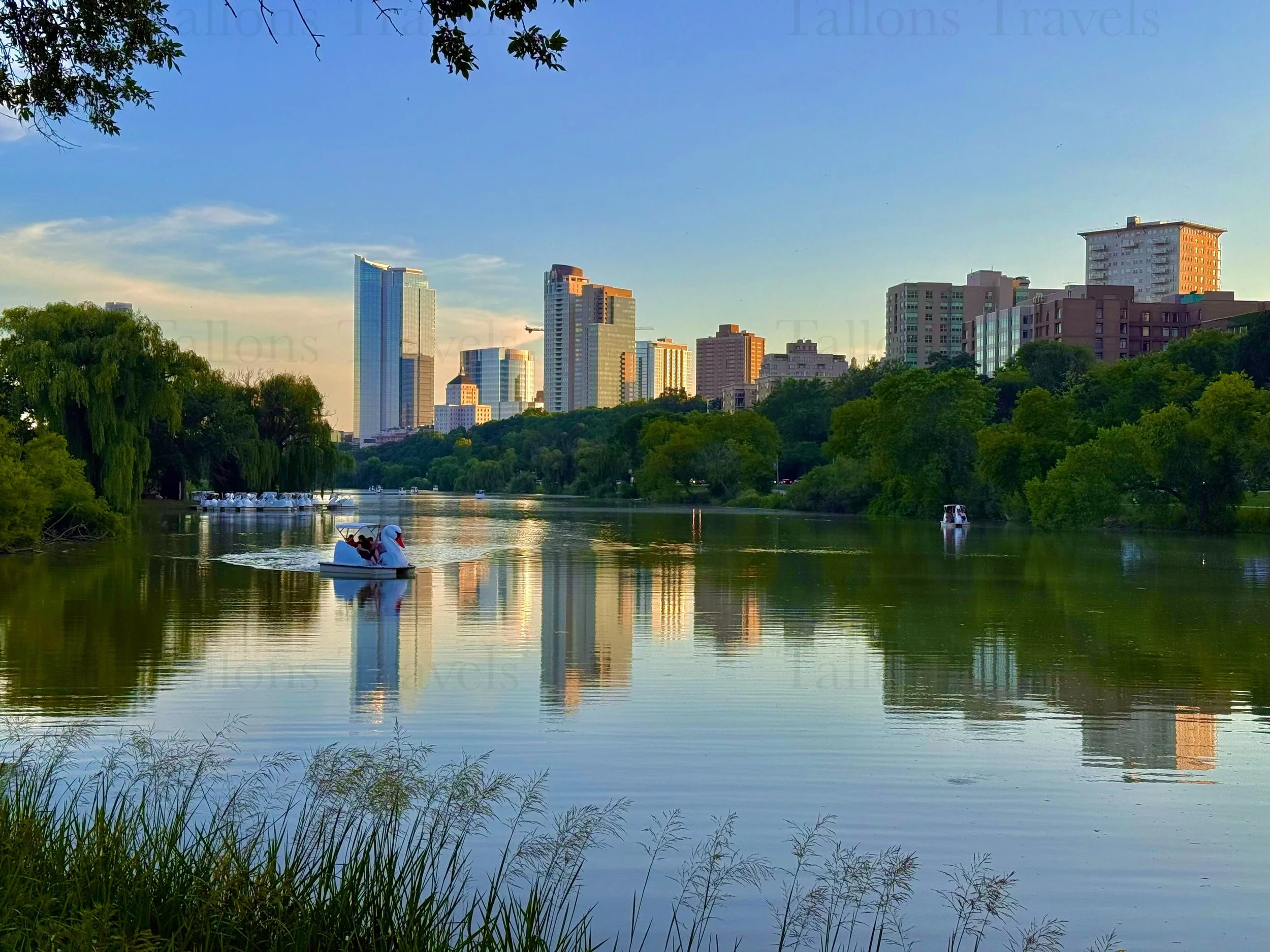 eZy Watermark_23-01-2026_10-40-14-1810PM.jpg