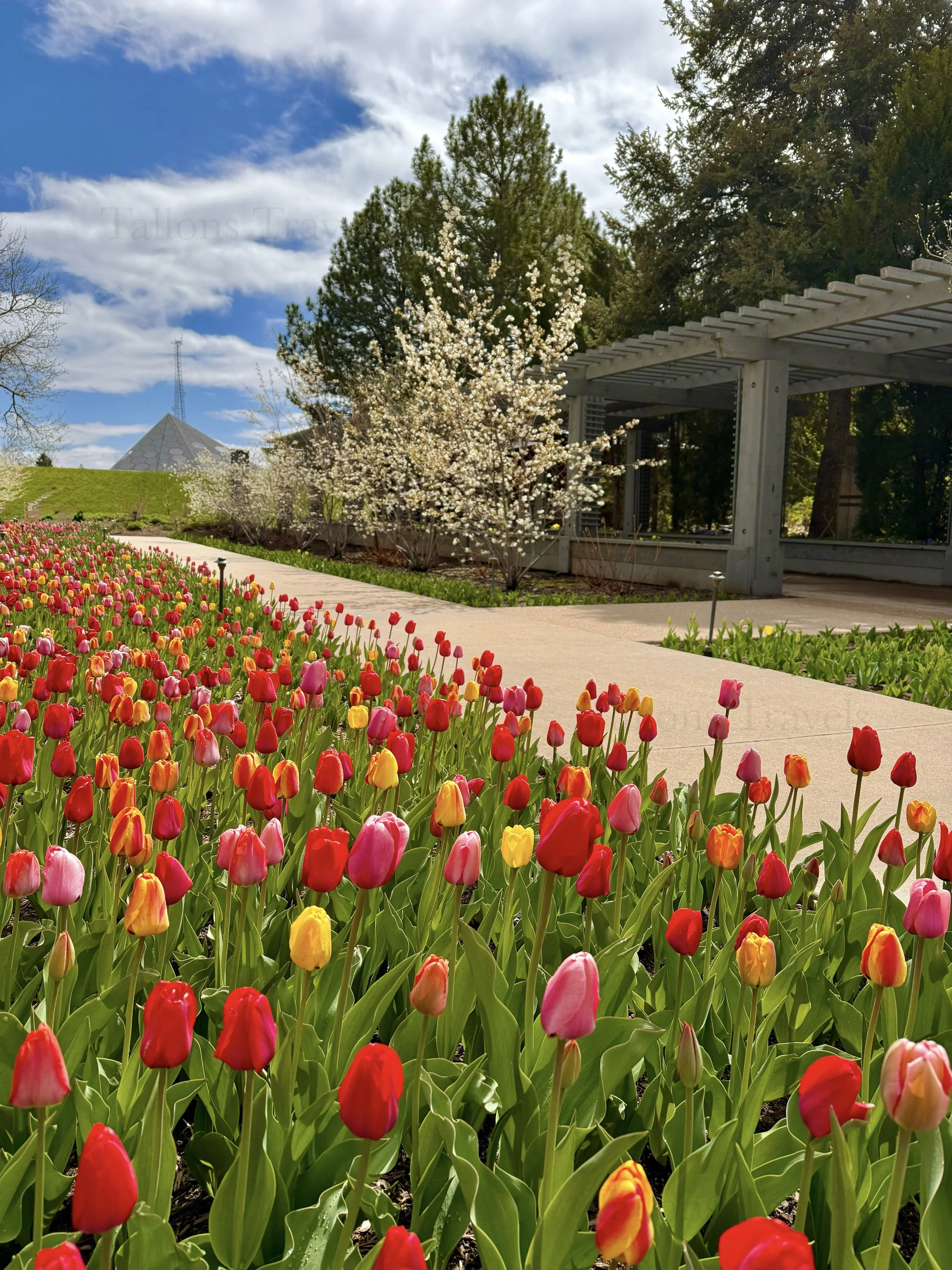 eZy Watermark_27-01-2026_09-39-53-2770PM.jpg