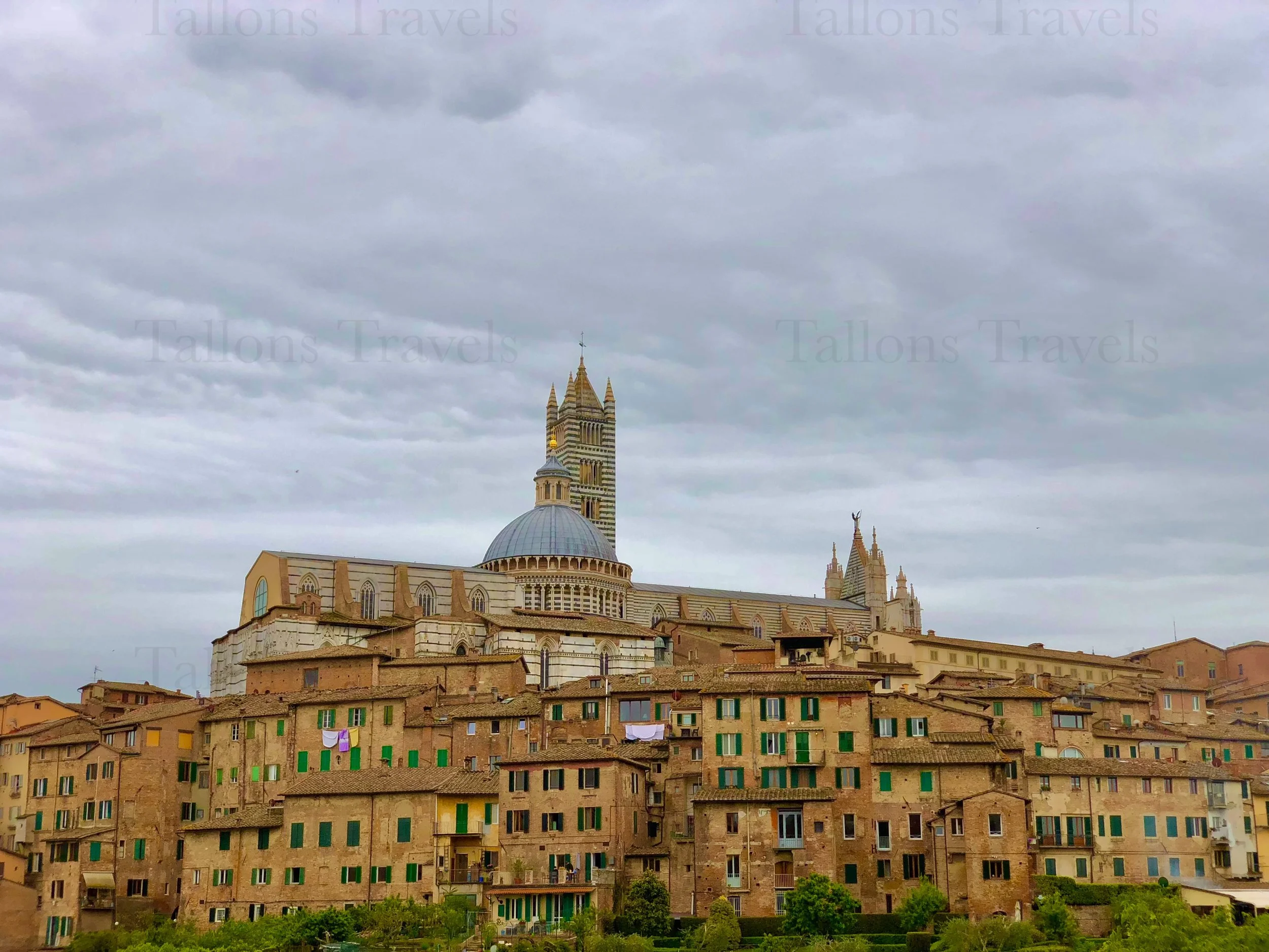 eZy Watermark_24-01-2026_08-09-43-7840PM.jpg