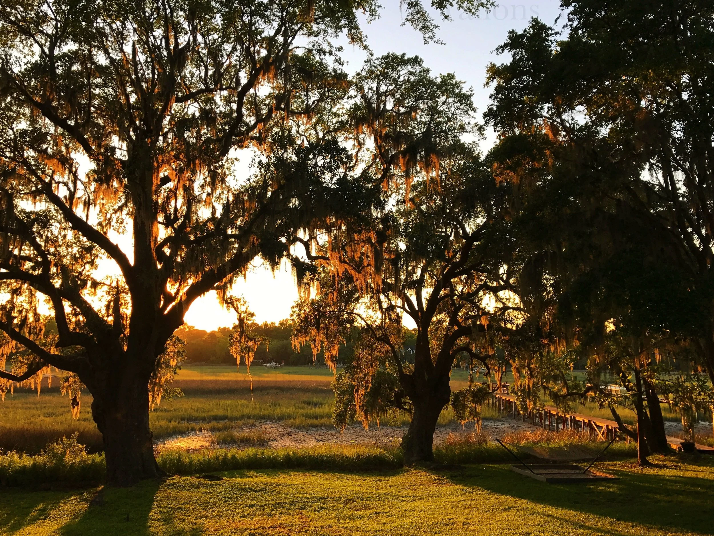 eZy Watermark_27-01-2026_10-07-53-6600PM.JPG