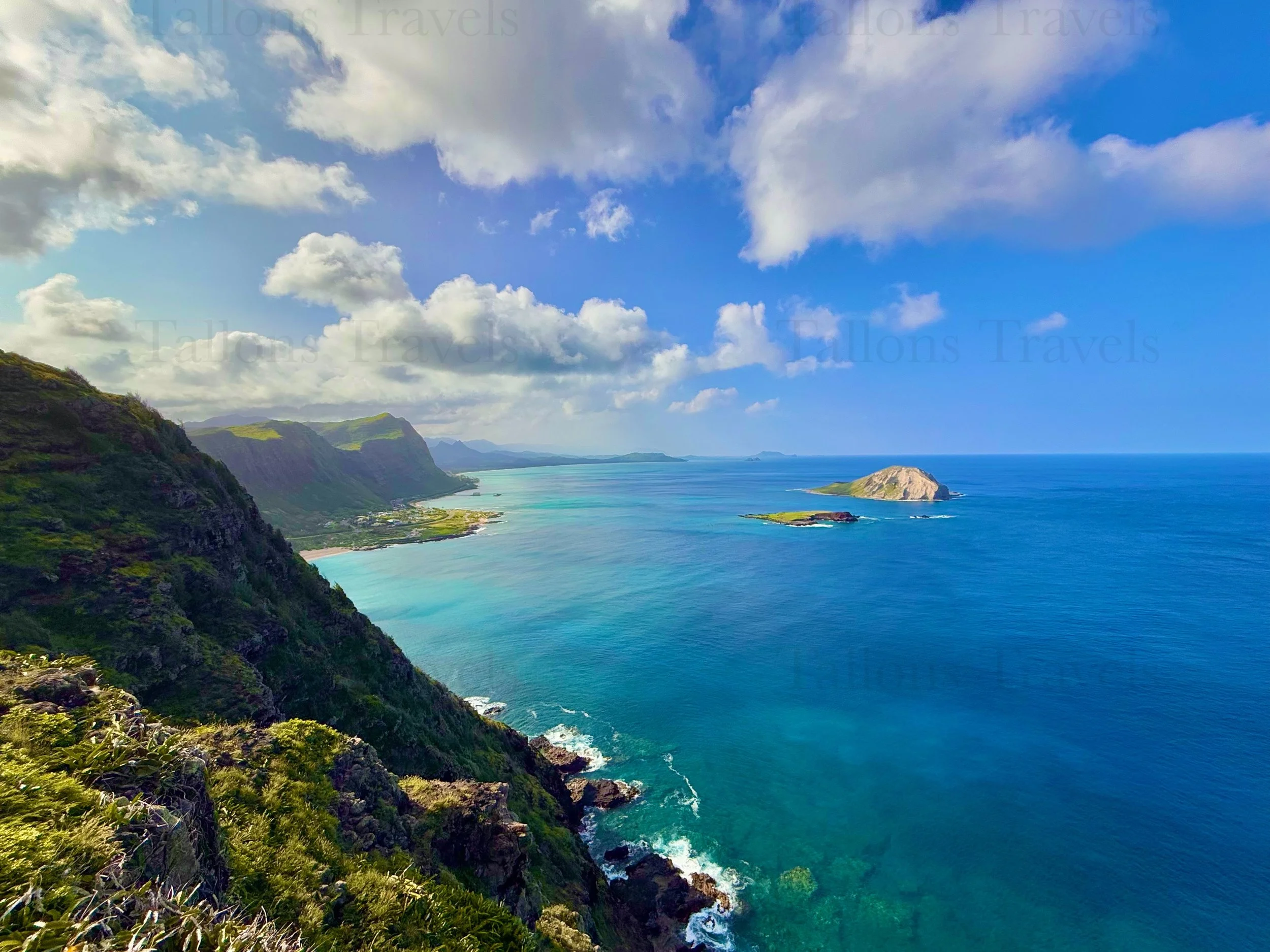 eZy Watermark_23-01-2026_10-20-00-4580PM.jpg