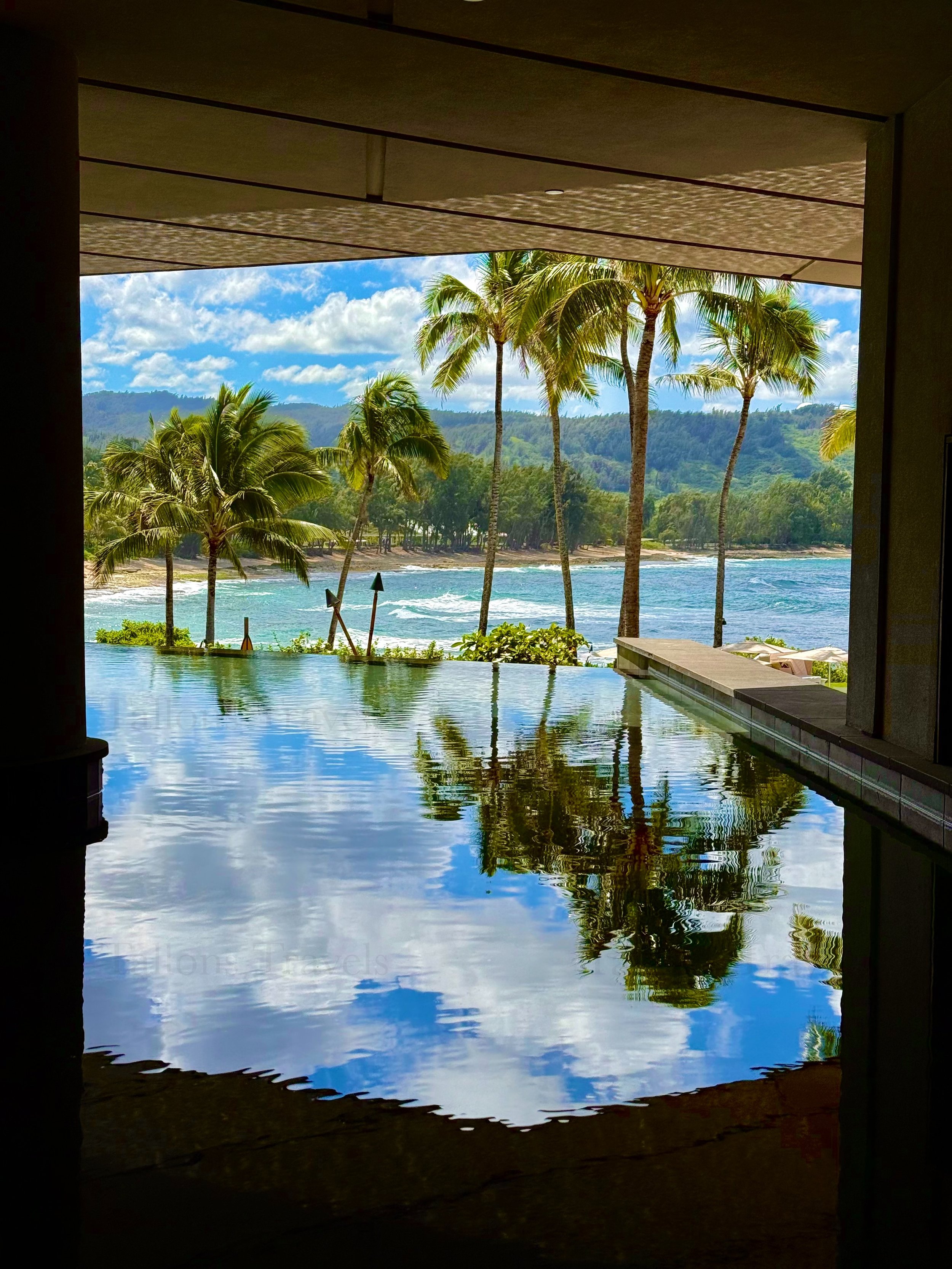 eZy Watermark_23-01-2026_10-19-32-0000PM.jpg