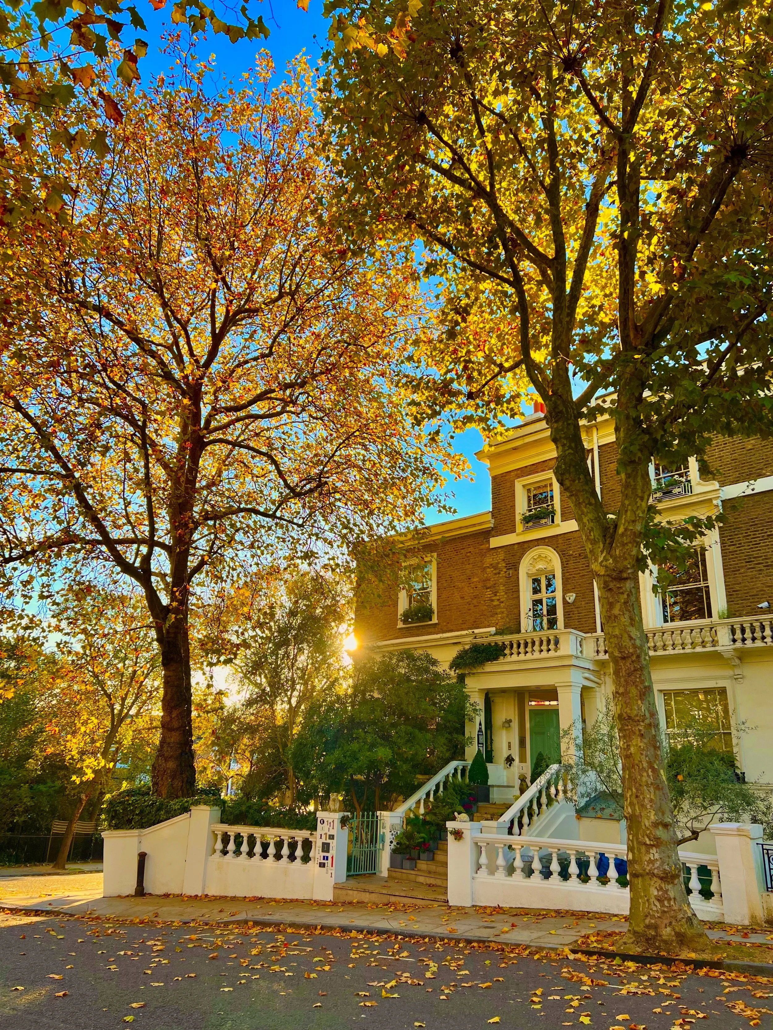 eZy Watermark_23-01-2026_01-41-45-3300PM.jpeg