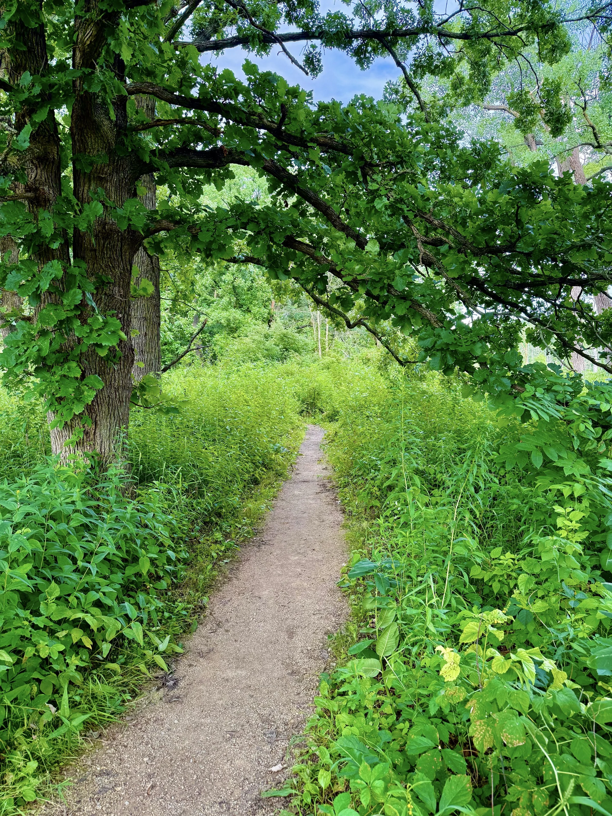 eZy Watermark_23-01-2026_10-38-49-6540PM.jpg