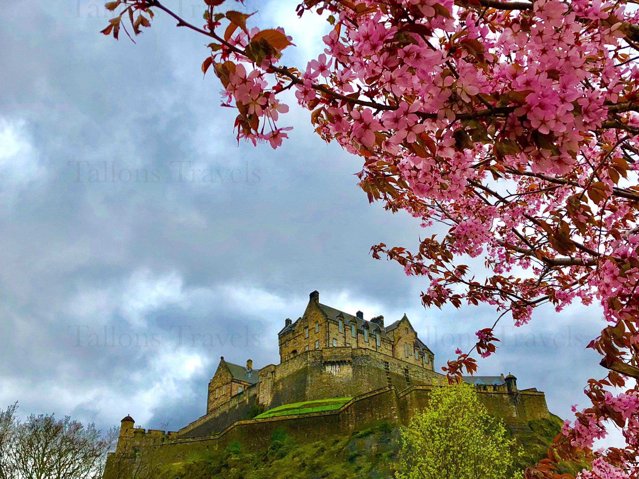 eZy Watermark_27-01-2026_09-47-42-2660PM.jpg