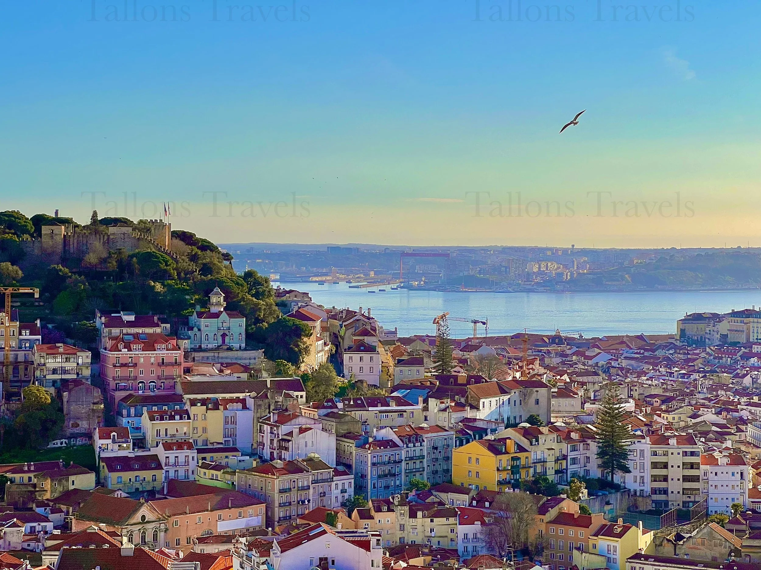 eZy Watermark_23-01-2026_10-56-05-7650PM.jpg