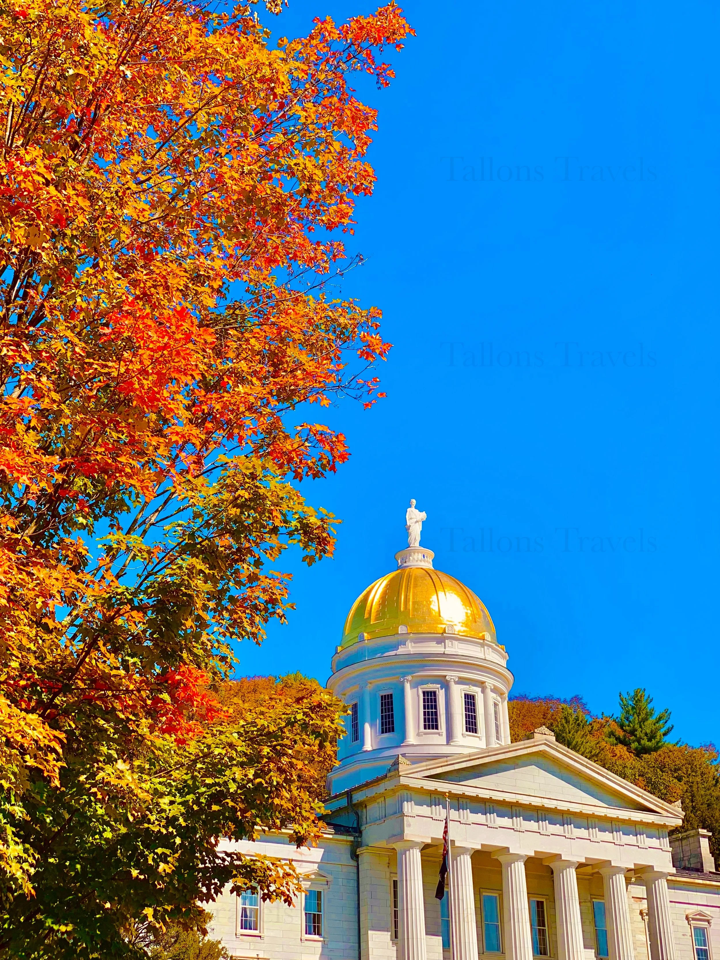 eZy Watermark_27-01-2026_09-59-49-6810PM.jpg