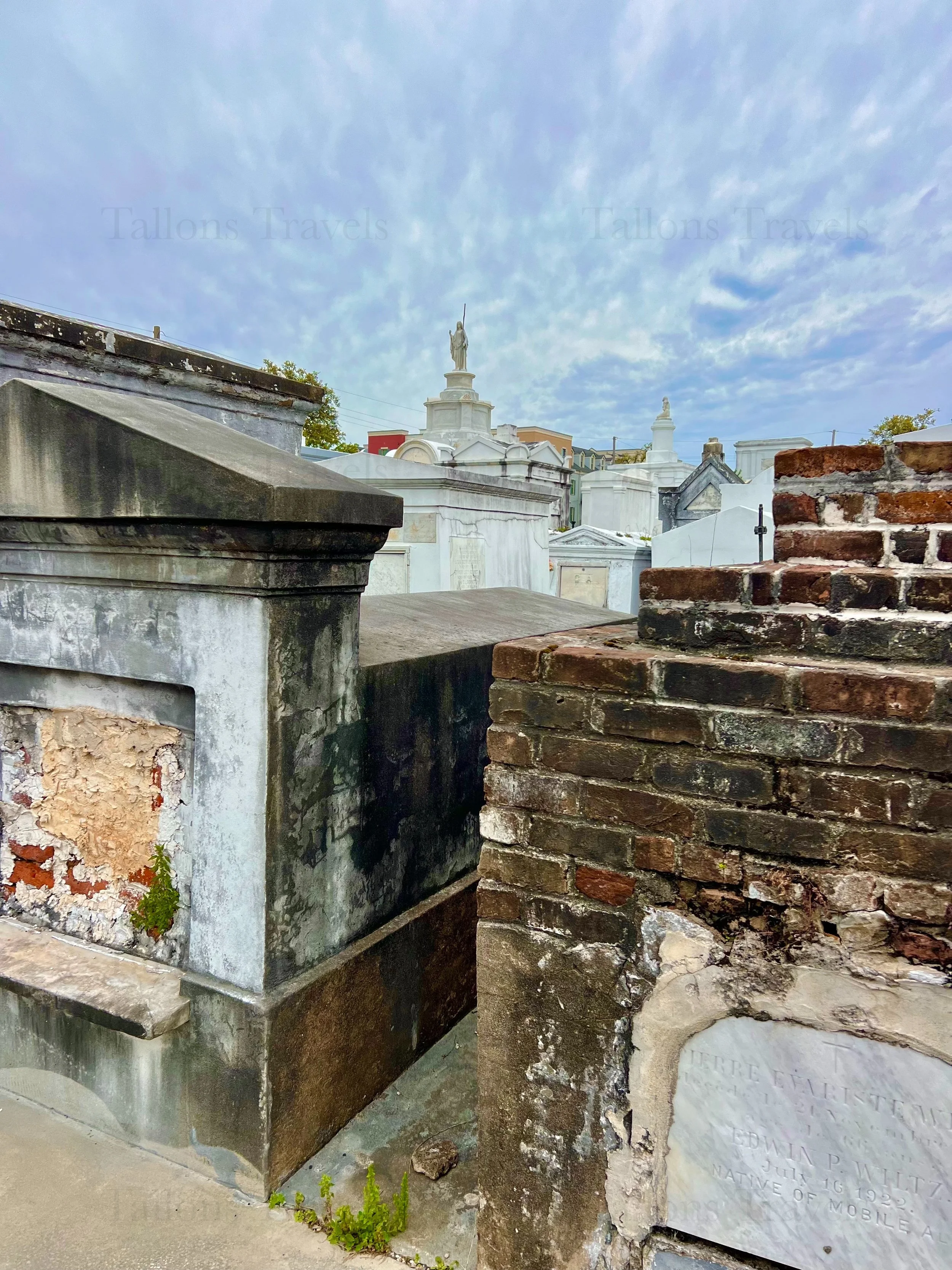 eZy Watermark_23-01-2026_09-24-54-2720PM.jpg