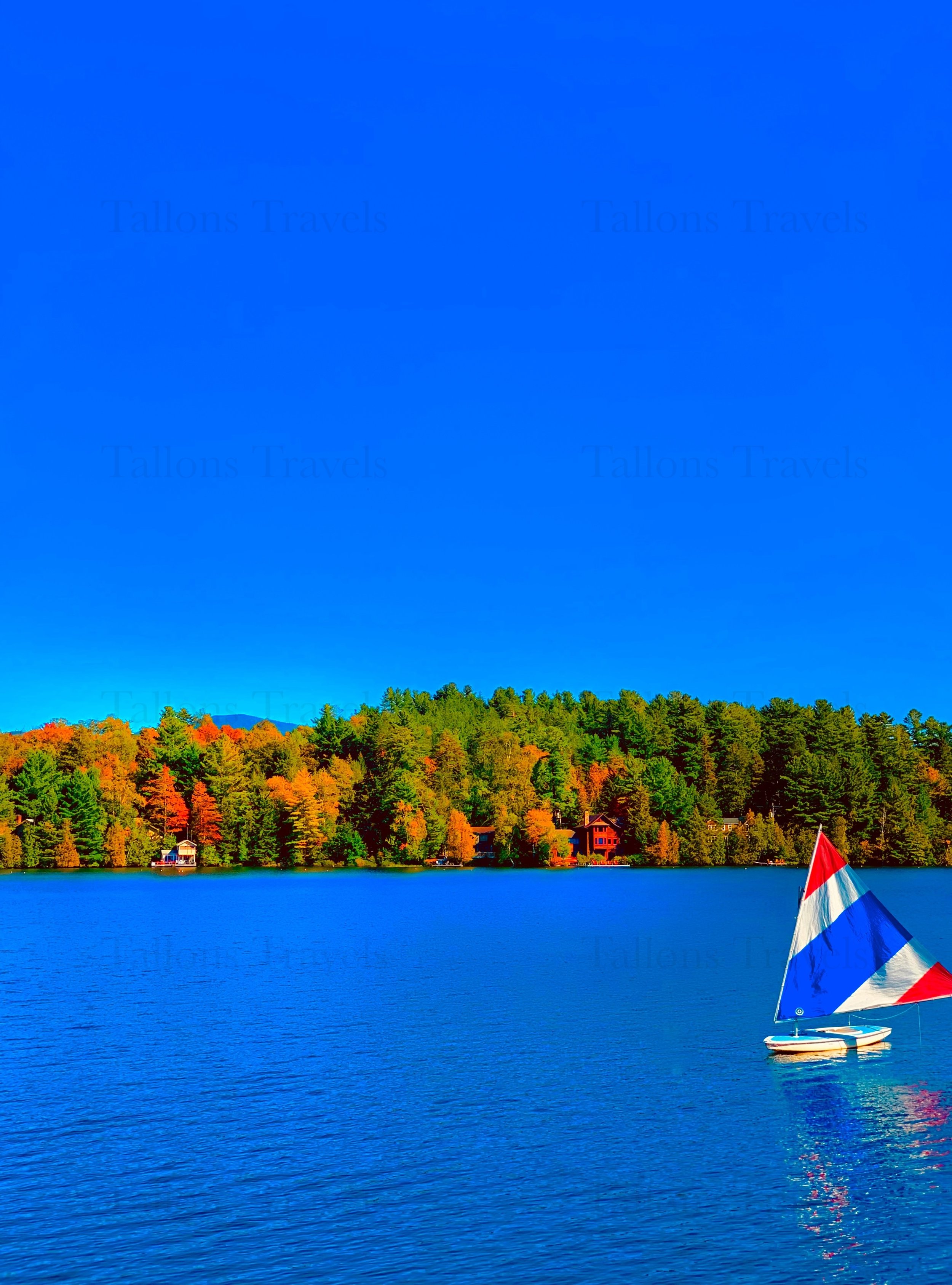 eZy Watermark_27-01-2026_09-59-47-0980PM.jpg