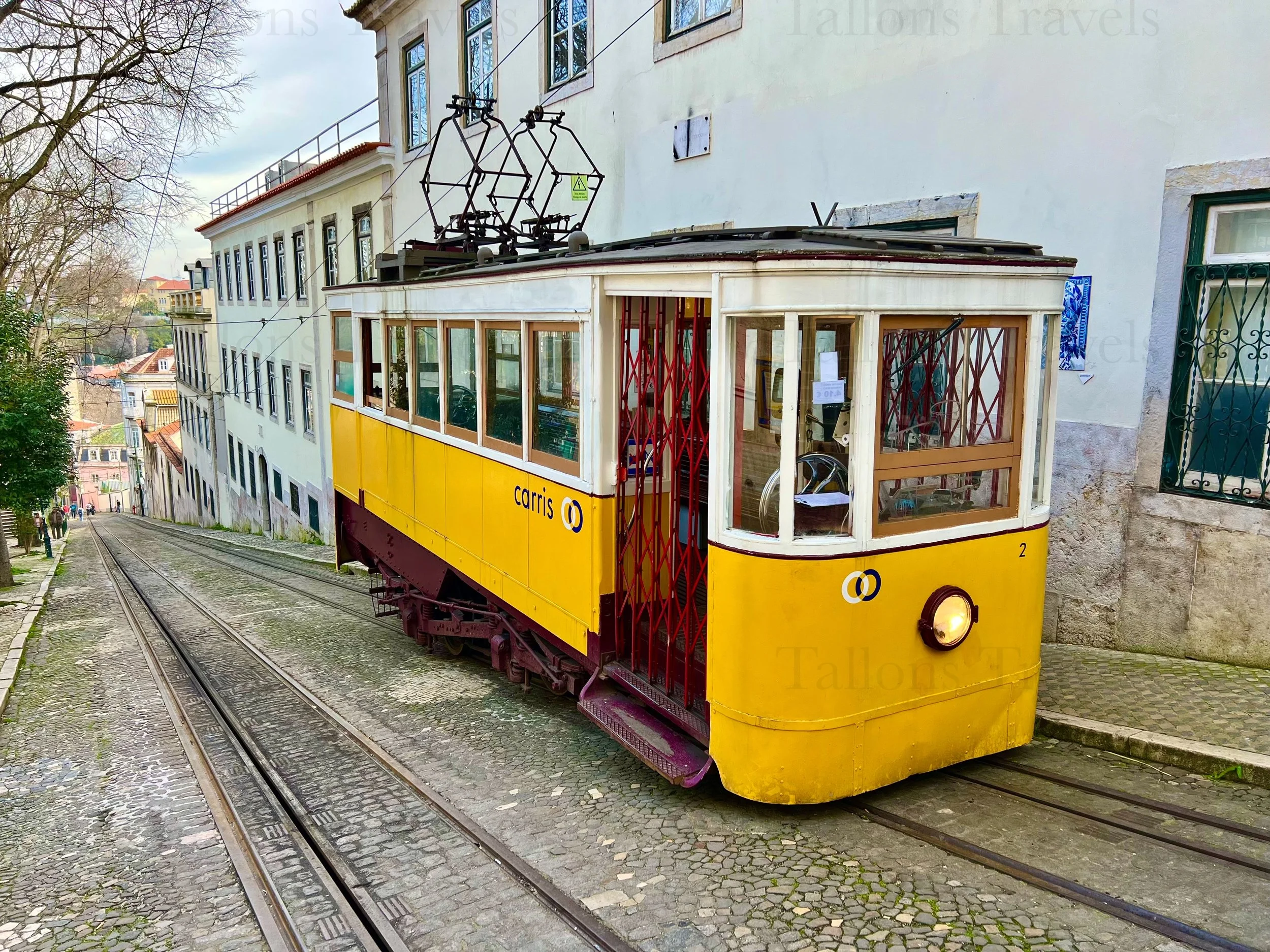 eZy Watermark_23-01-2026_11-03-40-7530PM.jpg