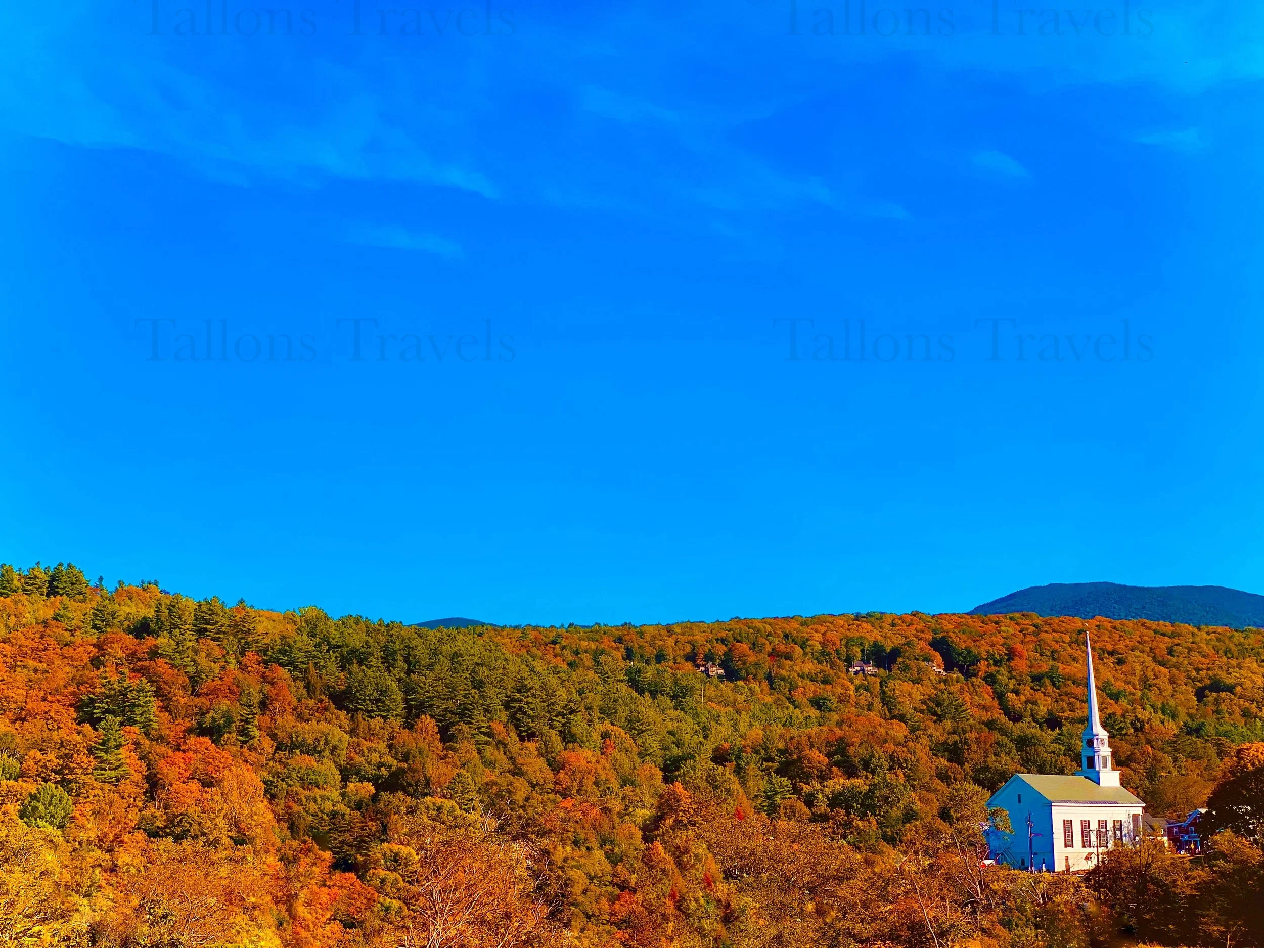 eZy Watermark_27-01-2026_09-59-48-4820PM.jpg