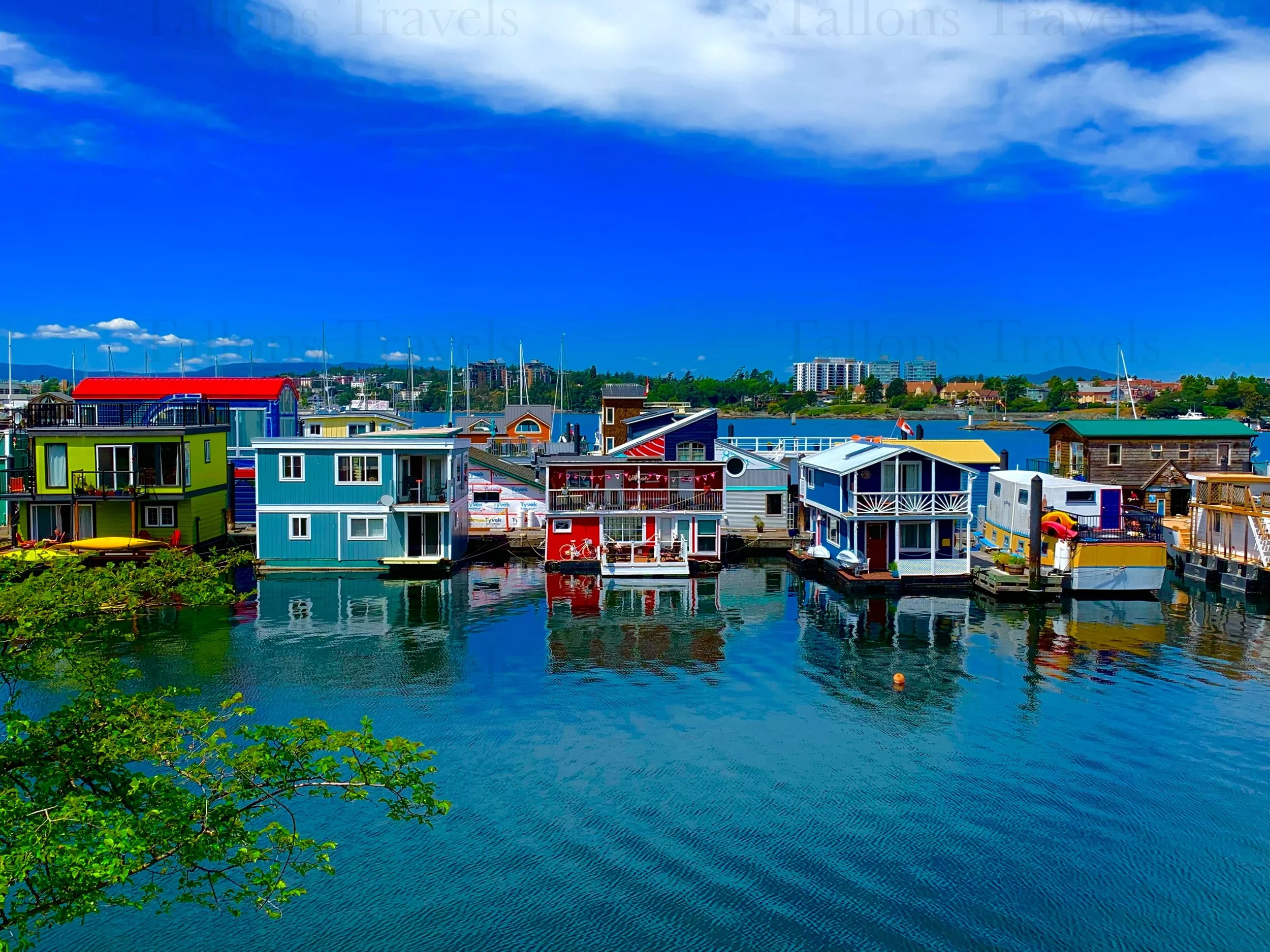 eZy Watermark_27-01-2026_09-11-05-2540PM.jpg