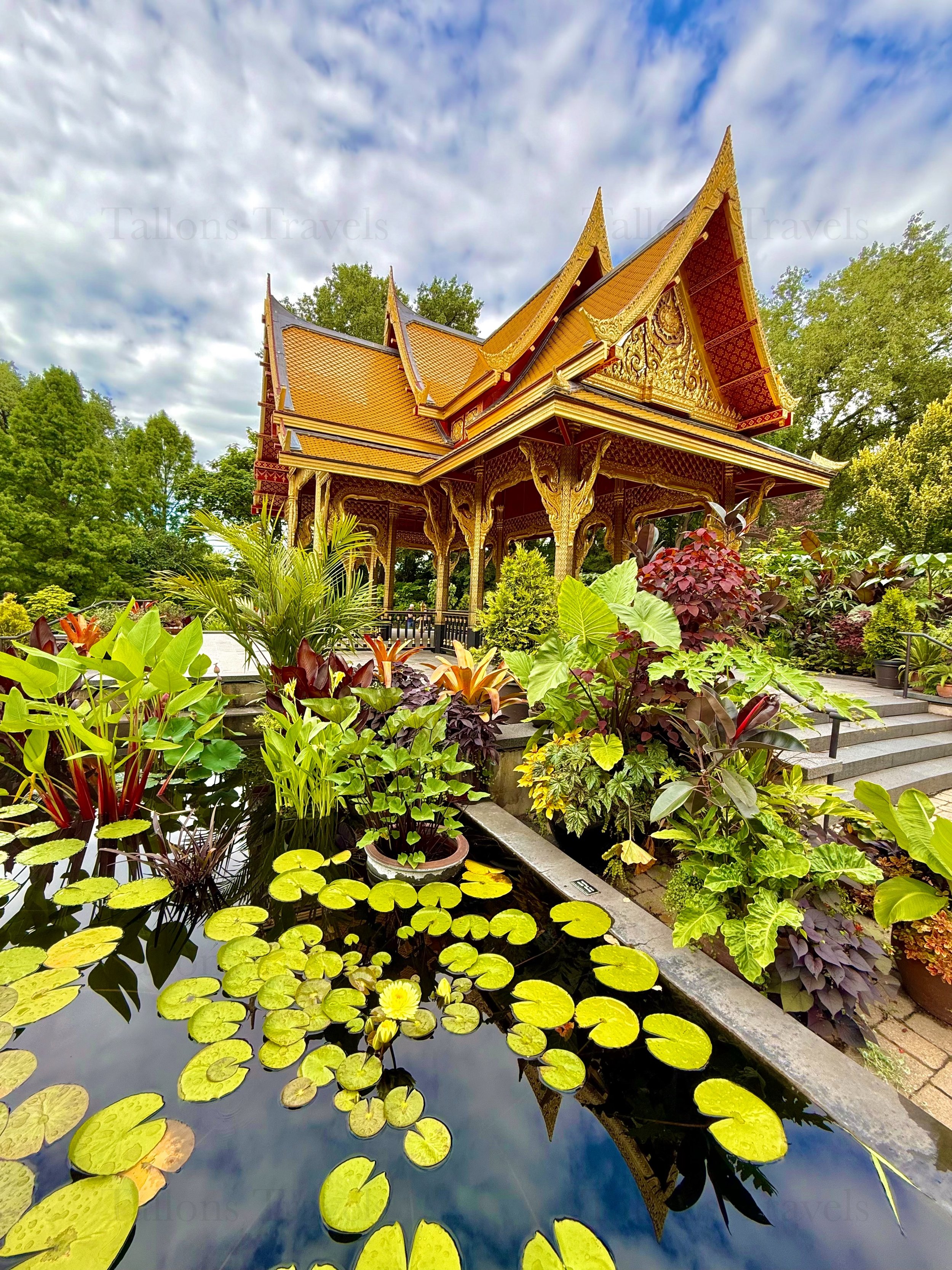 eZy Watermark_23-01-2026_10-39-21-9910PM.jpg