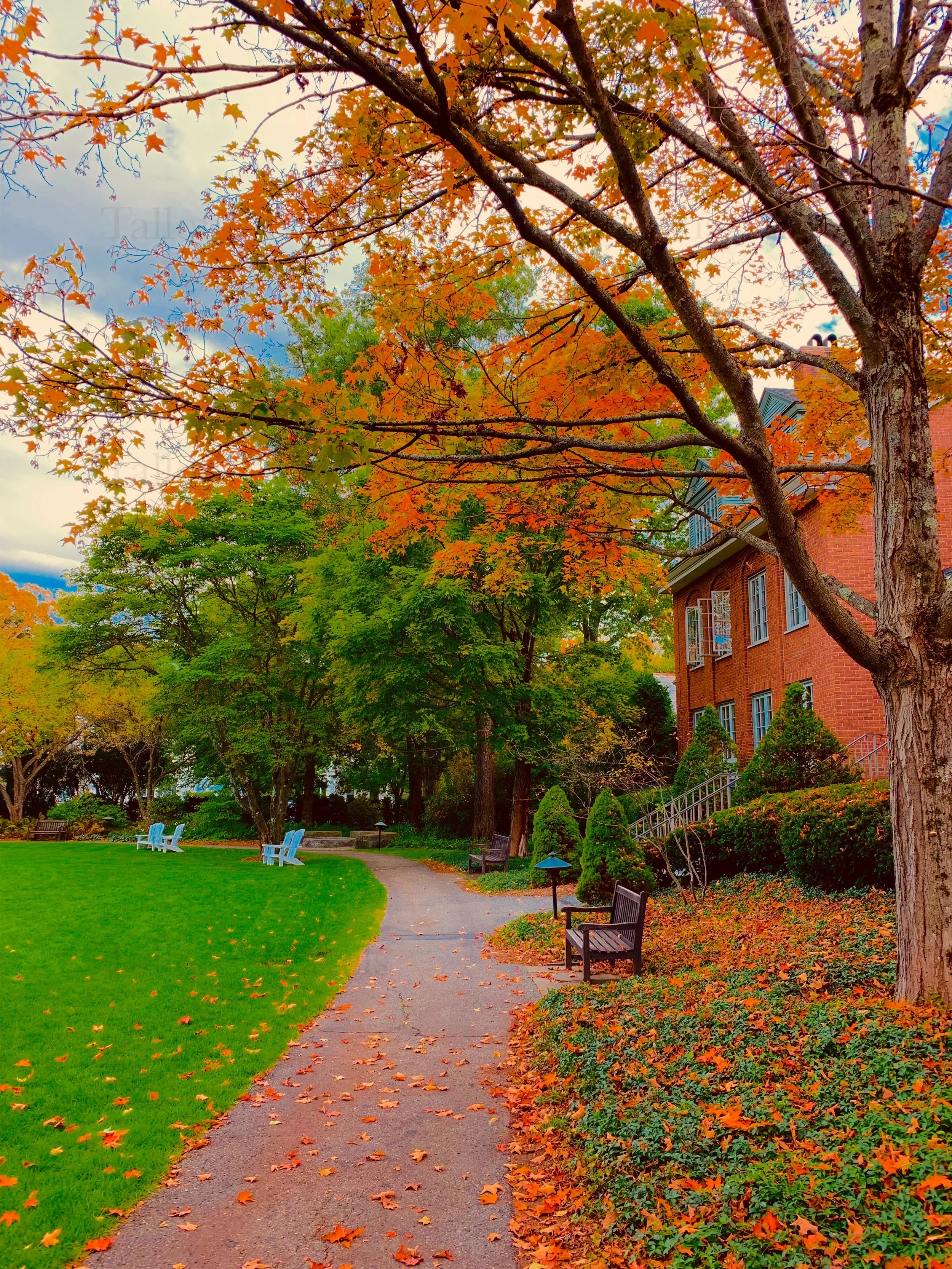 eZy Watermark_27-01-2026_09-59-37-3730PM.jpg