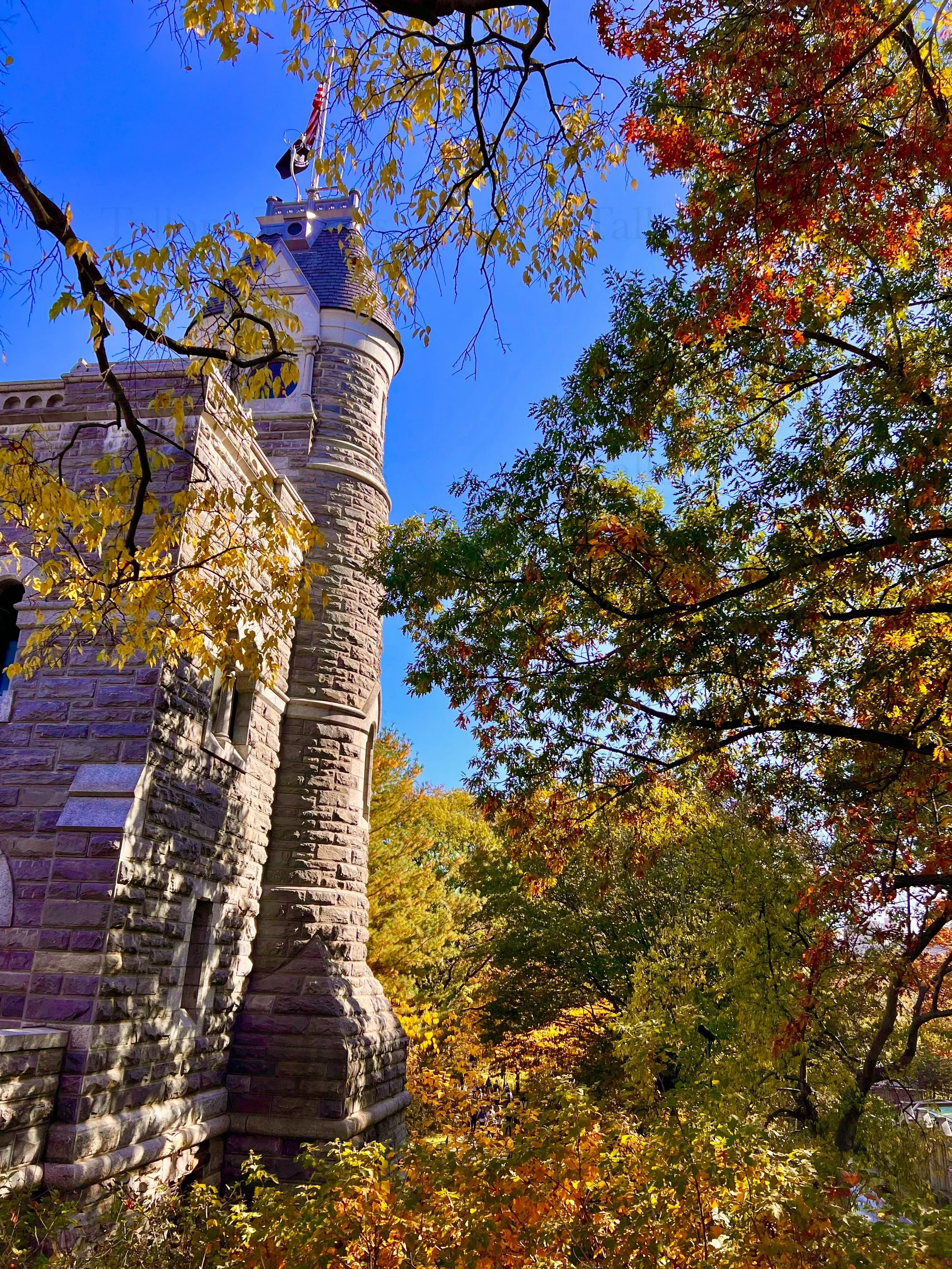 eZy Watermark_23-01-2026_11-20-08-8350PM.jpg