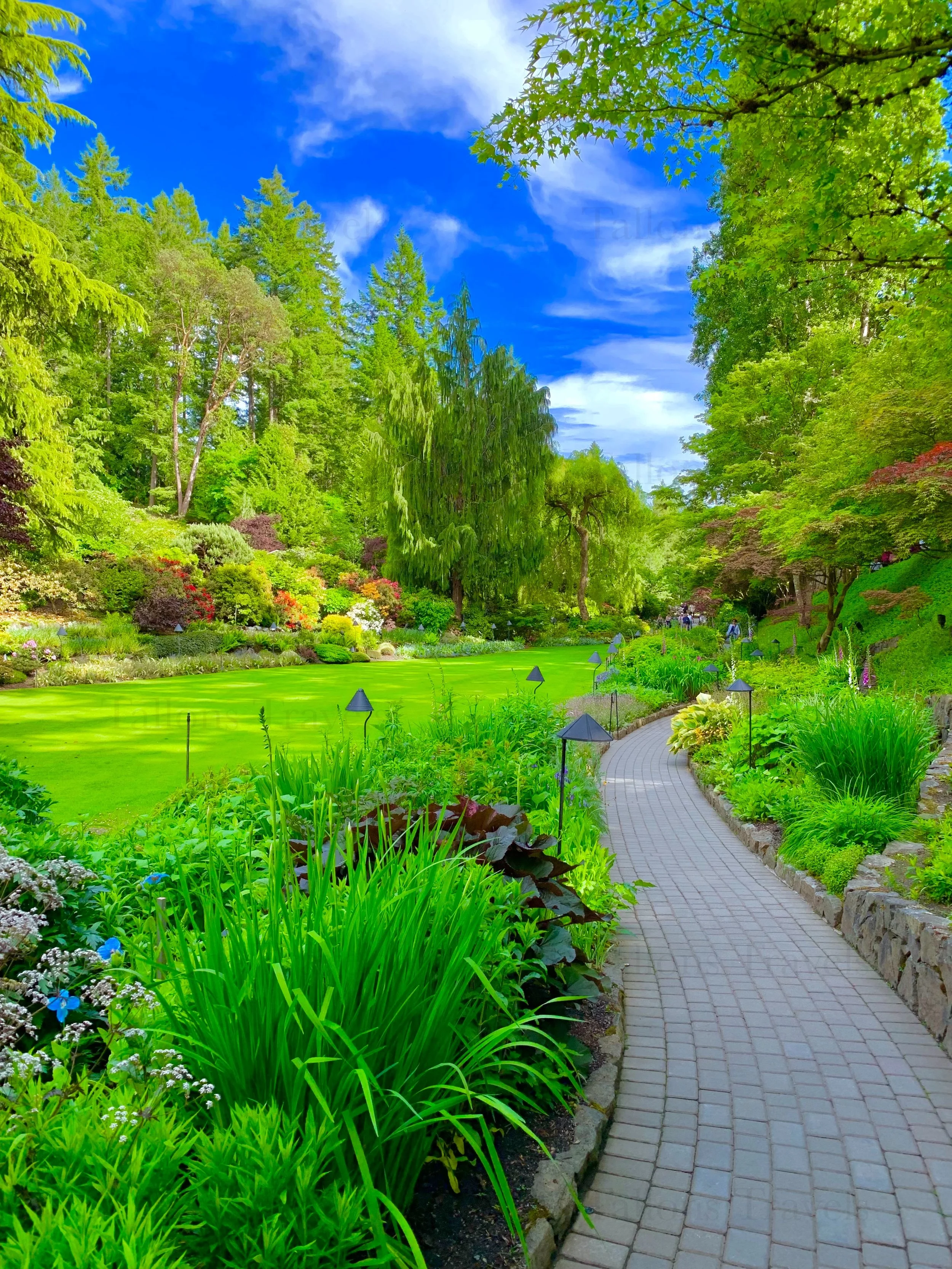 eZy Watermark_27-01-2026_09-11-17-5290PM.jpg