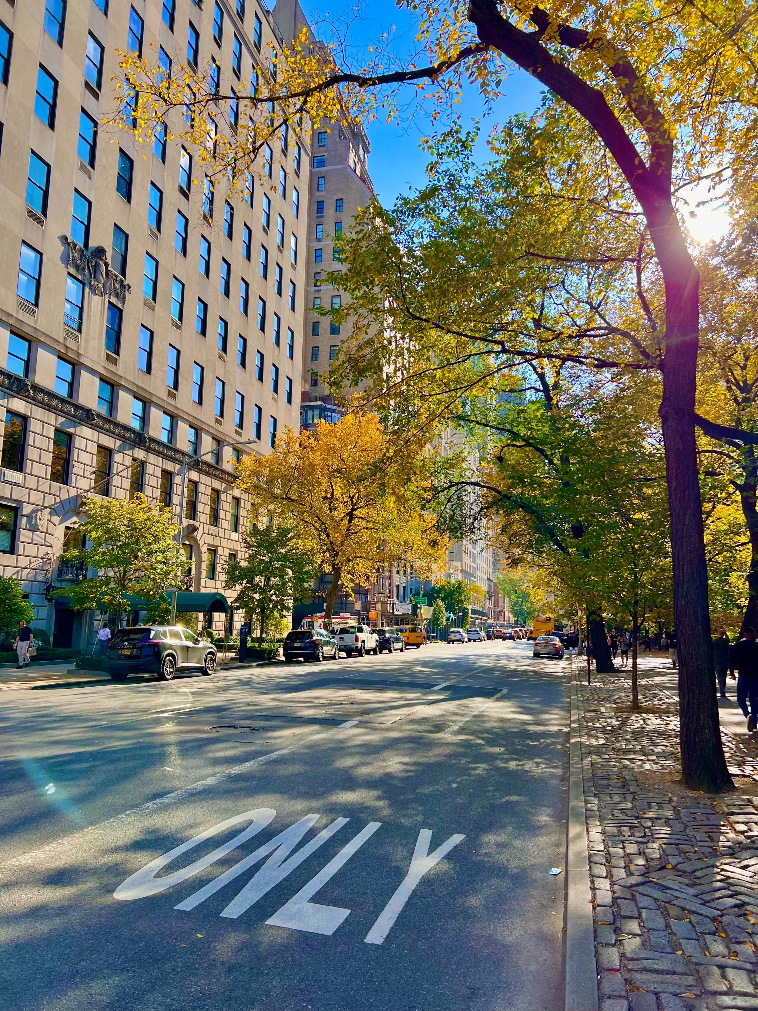 eZy Watermark_23-01-2026_11-20-04-4420PM.jpg