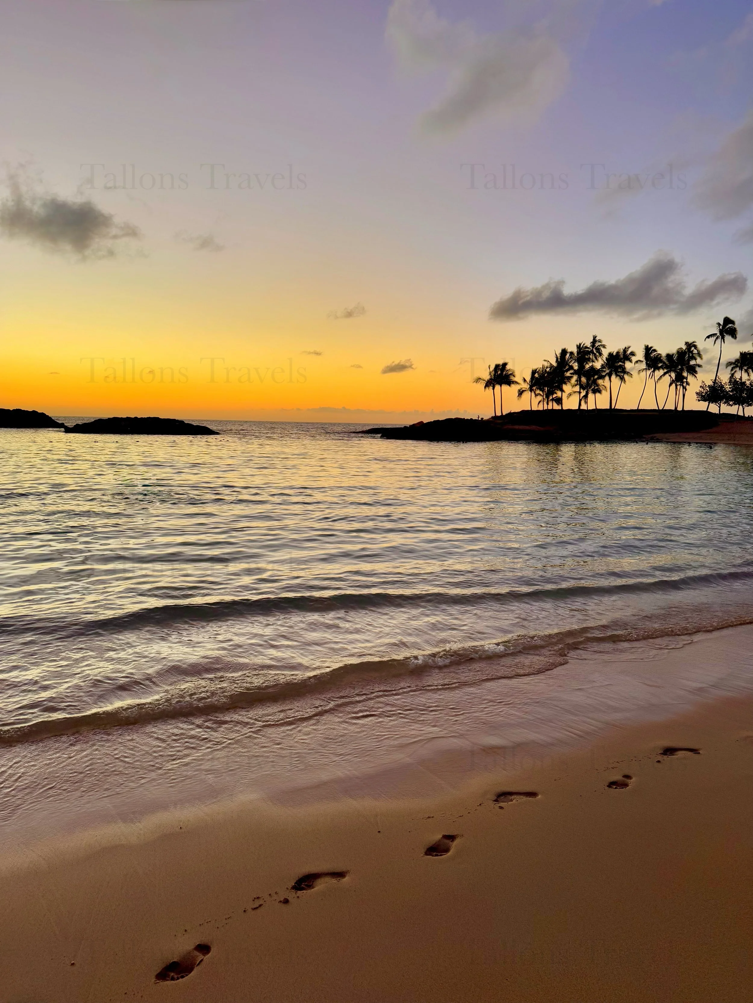 eZy Watermark_23-01-2026_10-20-14-9890PM.jpg