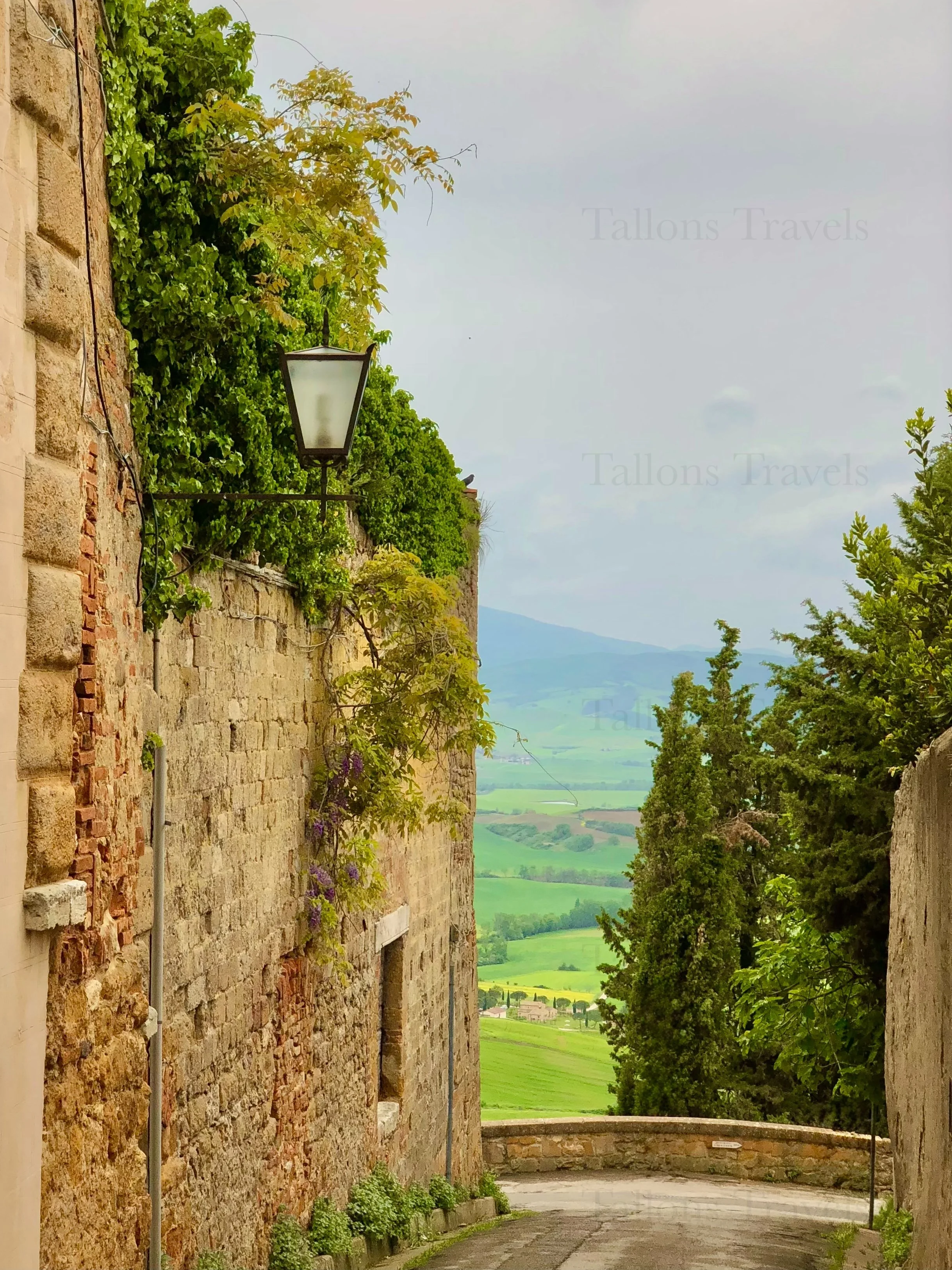 eZy Watermark_24-01-2026_08-09-57-7180PM.jpg