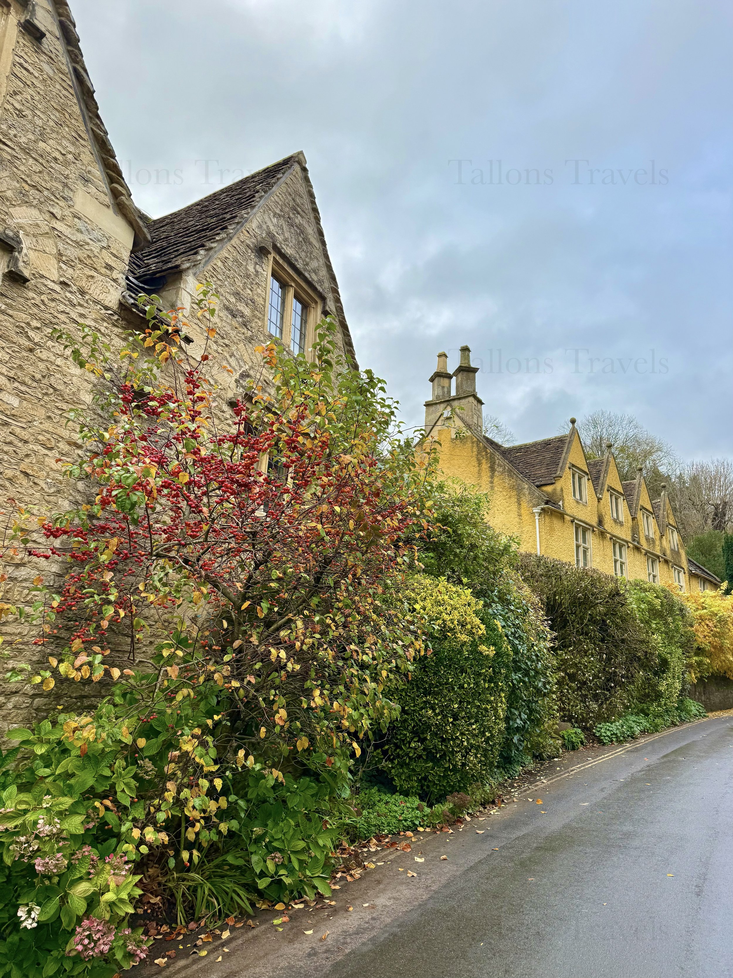 eZy Watermark_23-01-2026_11-27-32-7510AM.jpeg