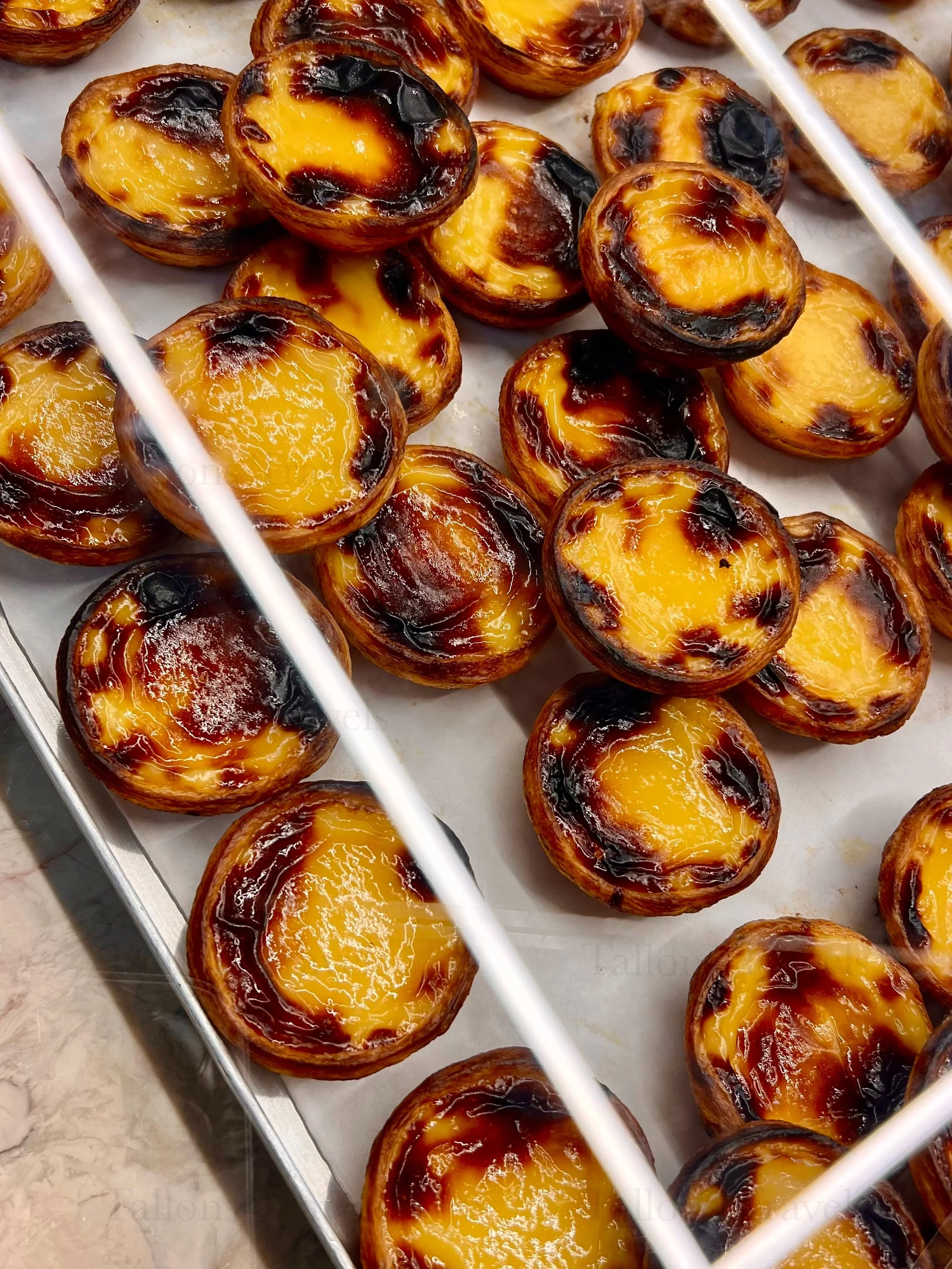 eZy Watermark_23-01-2026_11-03-47-4220PM.jpg