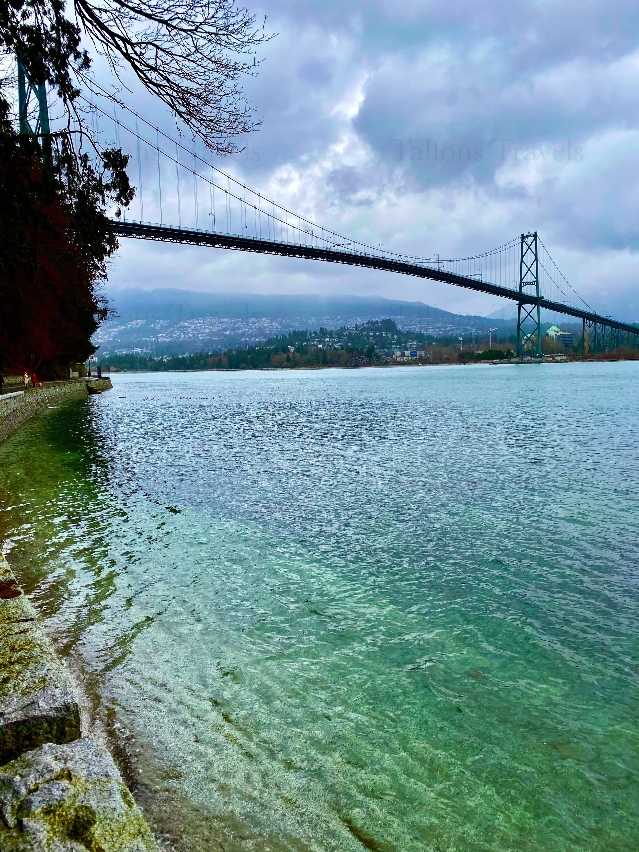 eZy Watermark_25-01-2026_03-28-29-8590PM.jpg