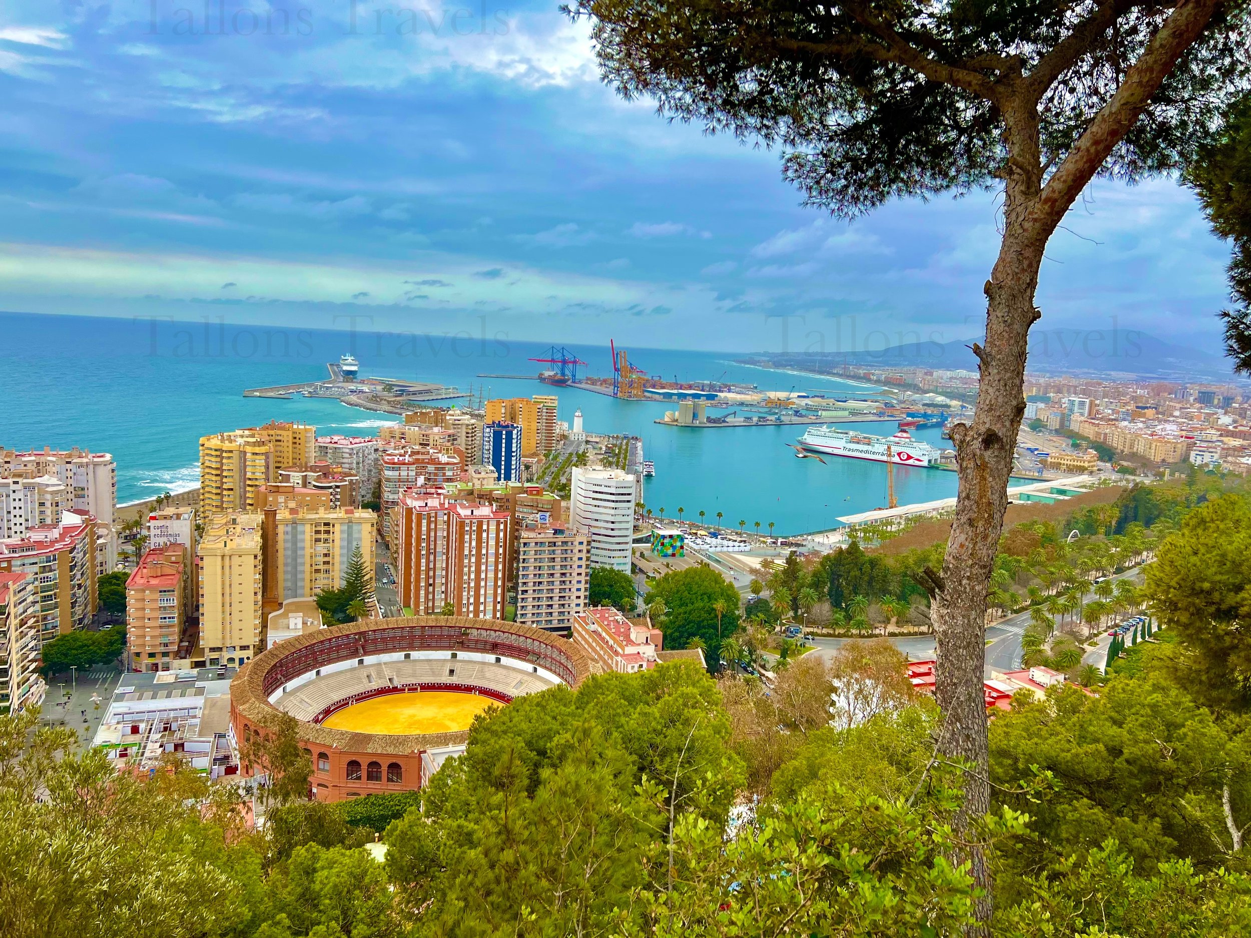 eZy Watermark_27-01-2026_09-20-59-6840PM.jpg