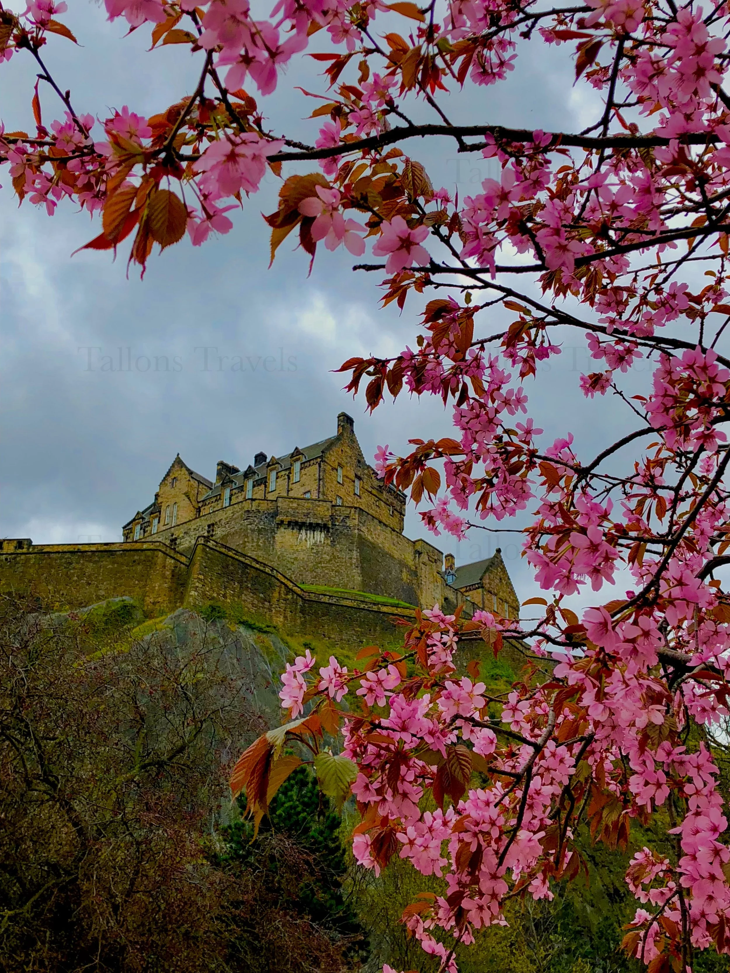 eZy Watermark_27-01-2026_09-47-40-9770PM.jpg