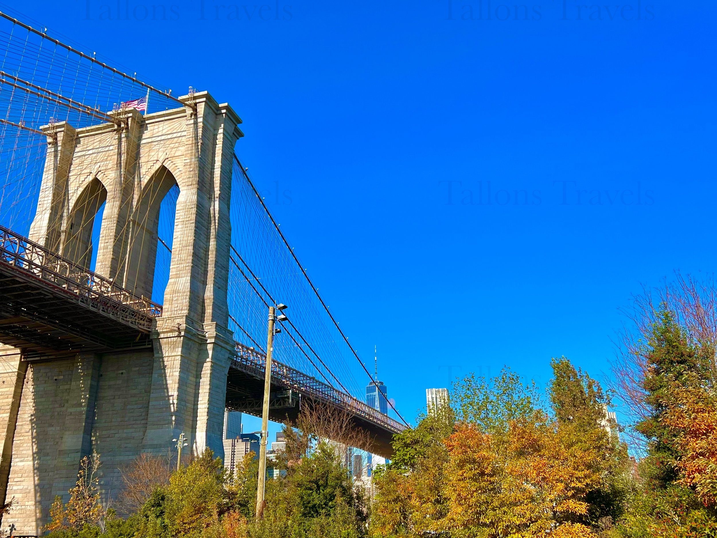 eZy Watermark_23-01-2026_11-19-07-1130PM.jpg