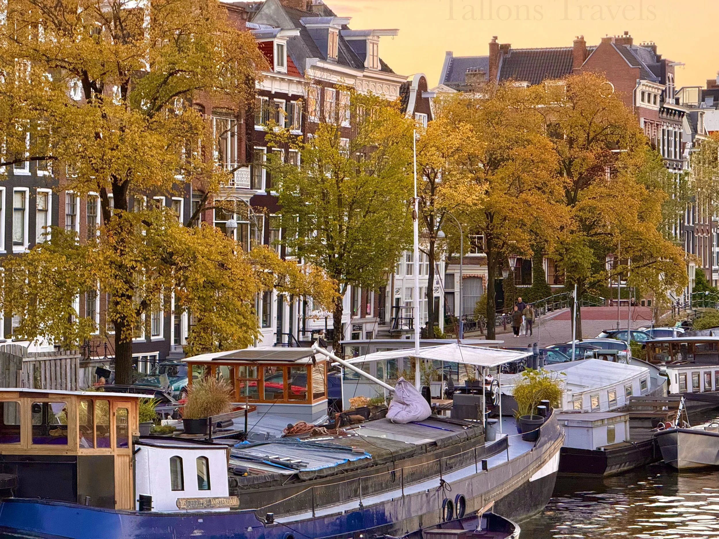 eZy Watermark_23-01-2026_11-37-40-5170AM.jpg