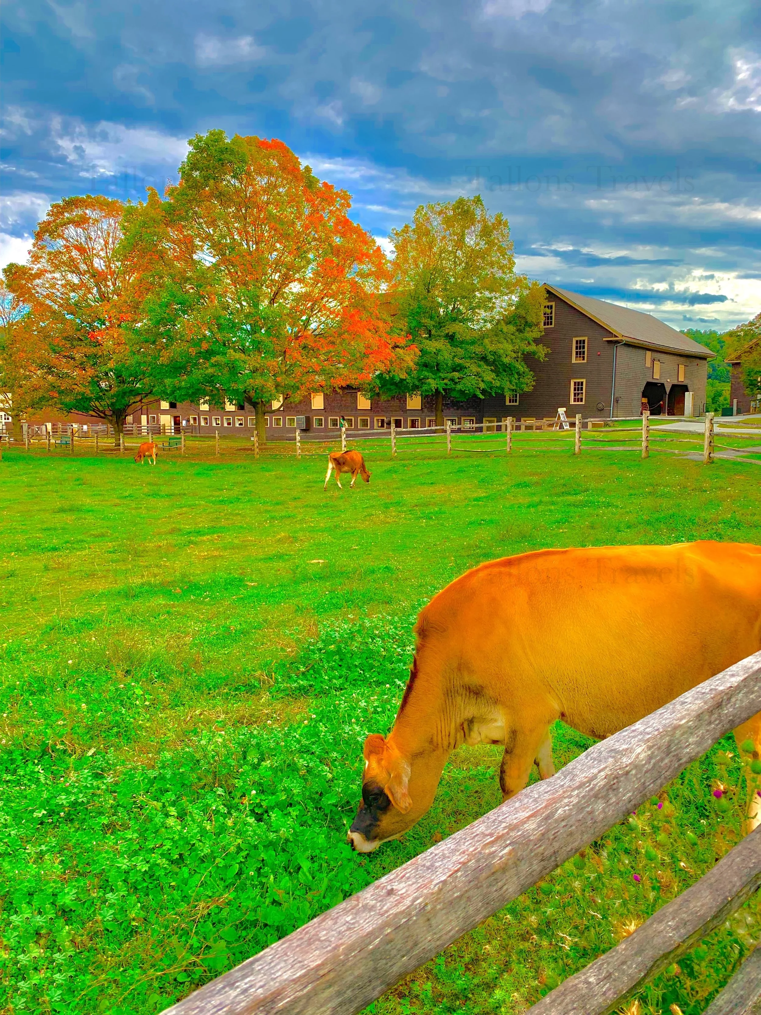 eZy Watermark_27-01-2026_09-59-34-6810PM.jpg