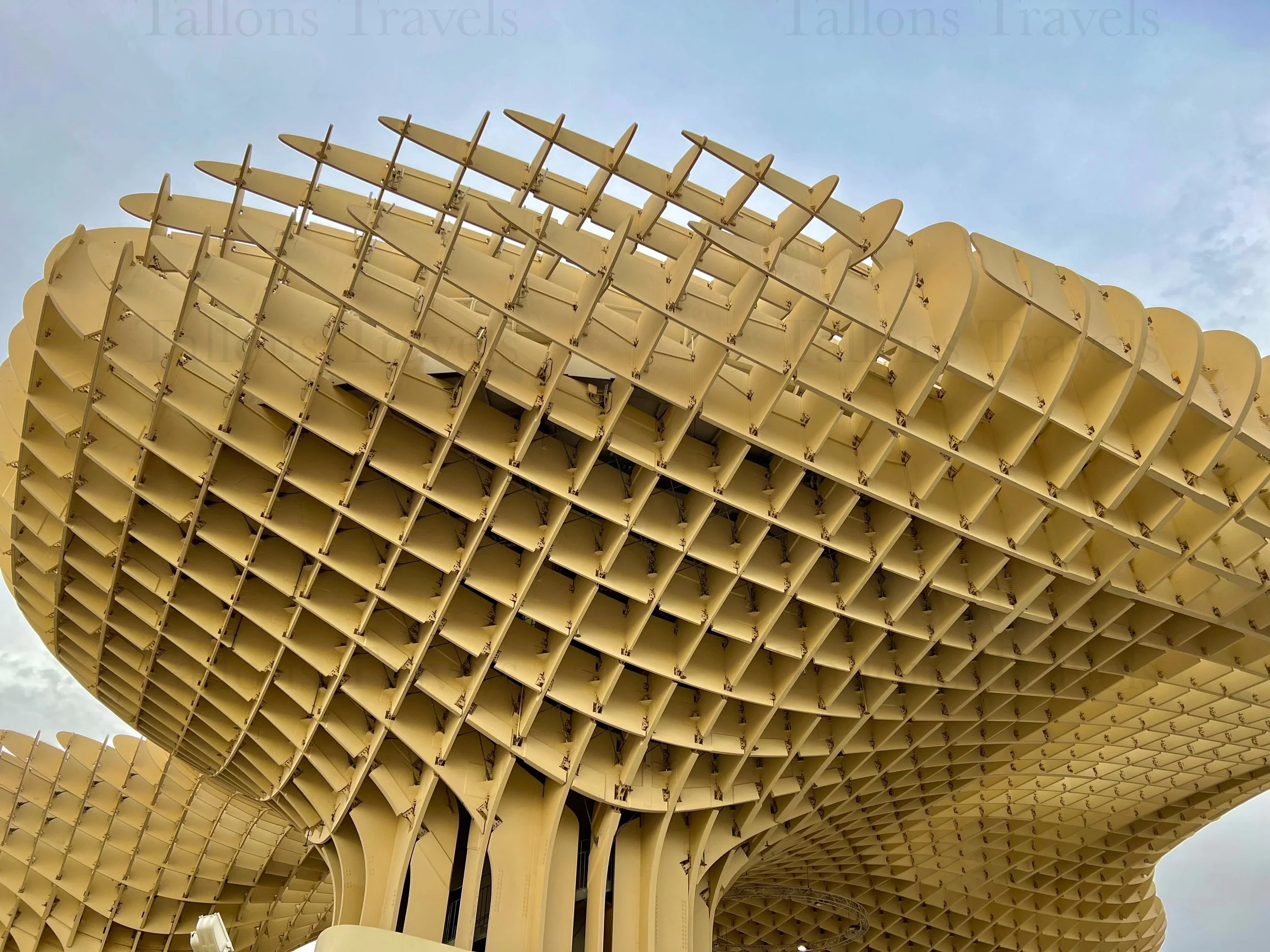 eZy Watermark_27-01-2026_09-22-13-0300PM.jpg