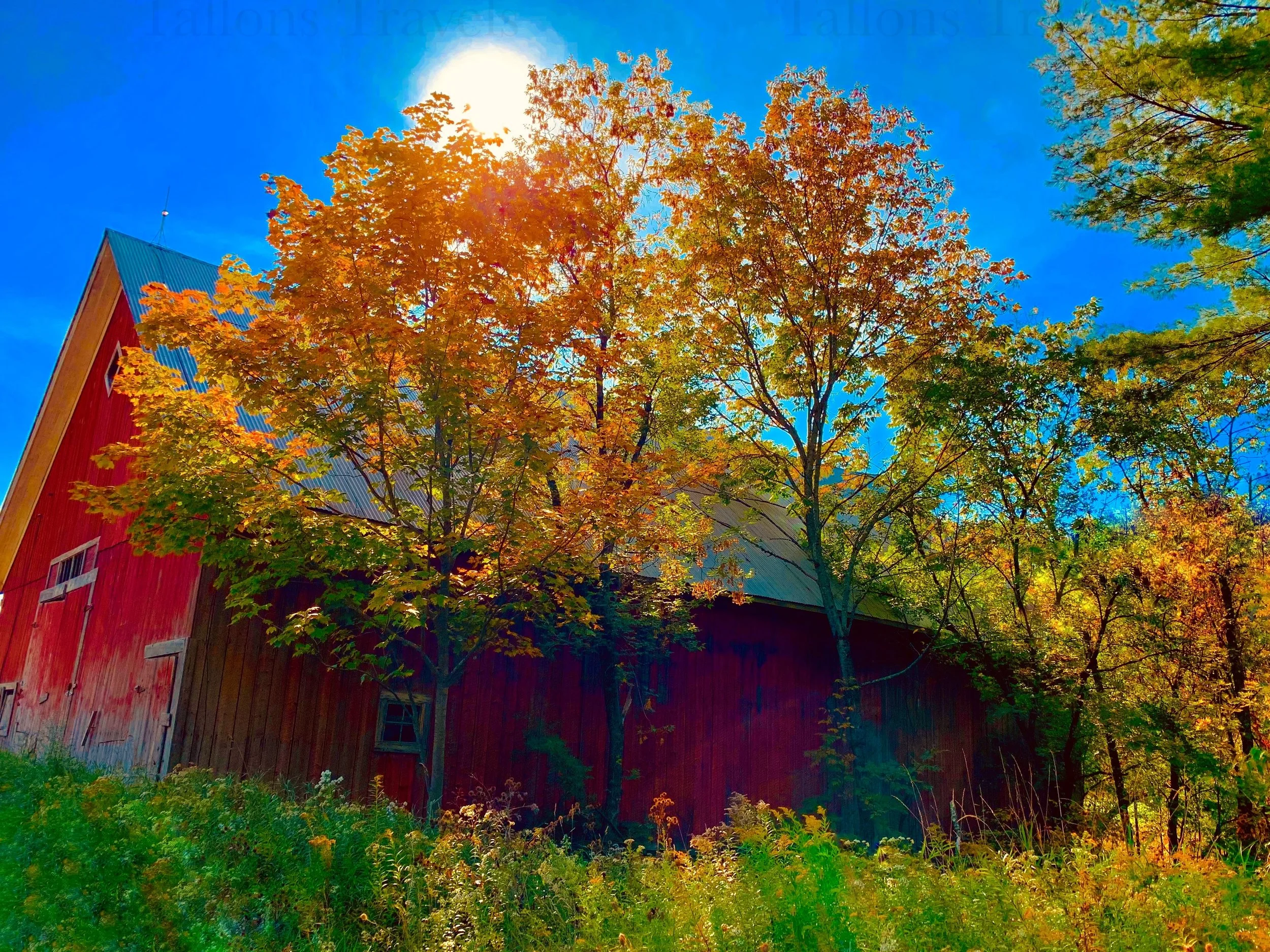 eZy Watermark_27-01-2026_09-59-55-7240PM.jpg