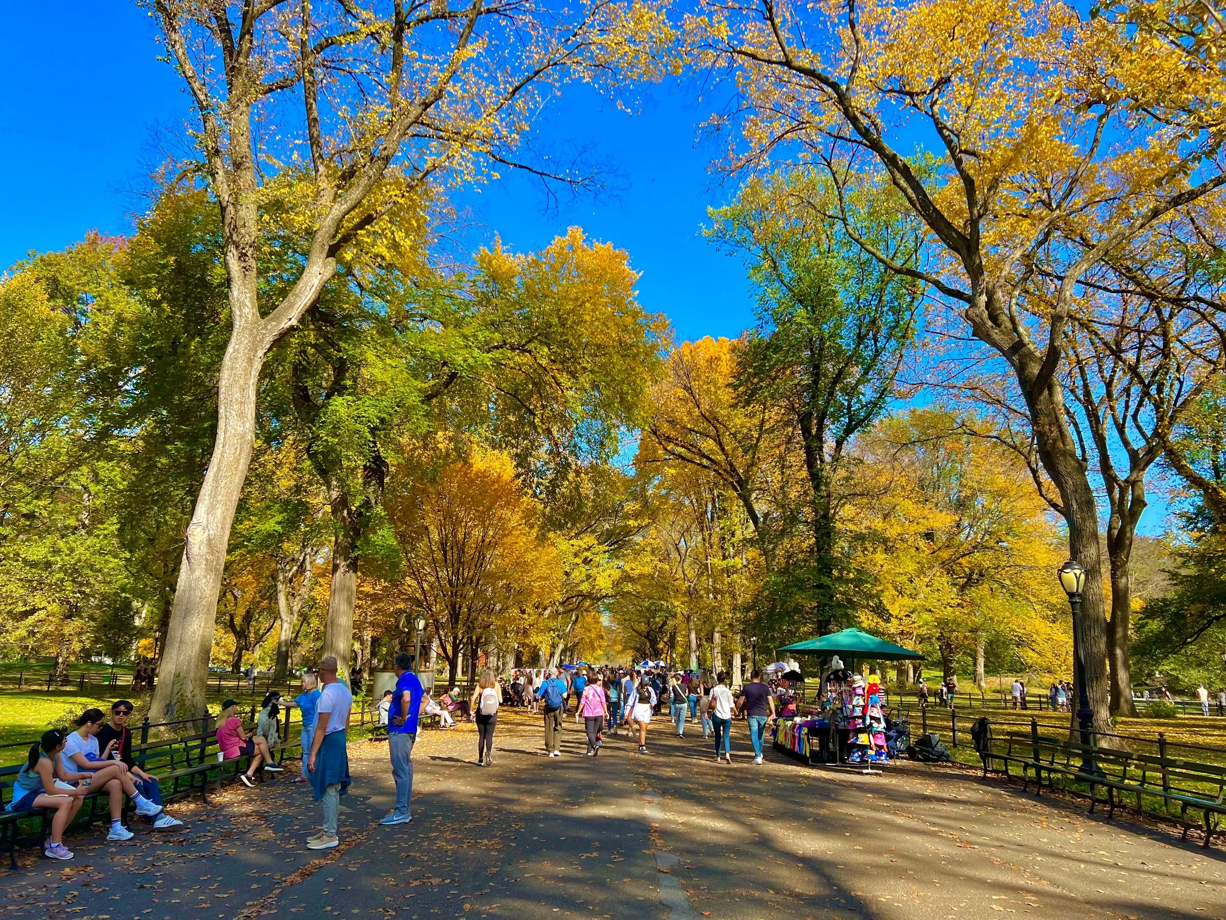 eZy Watermark_23-01-2026_11-20-15-0810PM.jpg