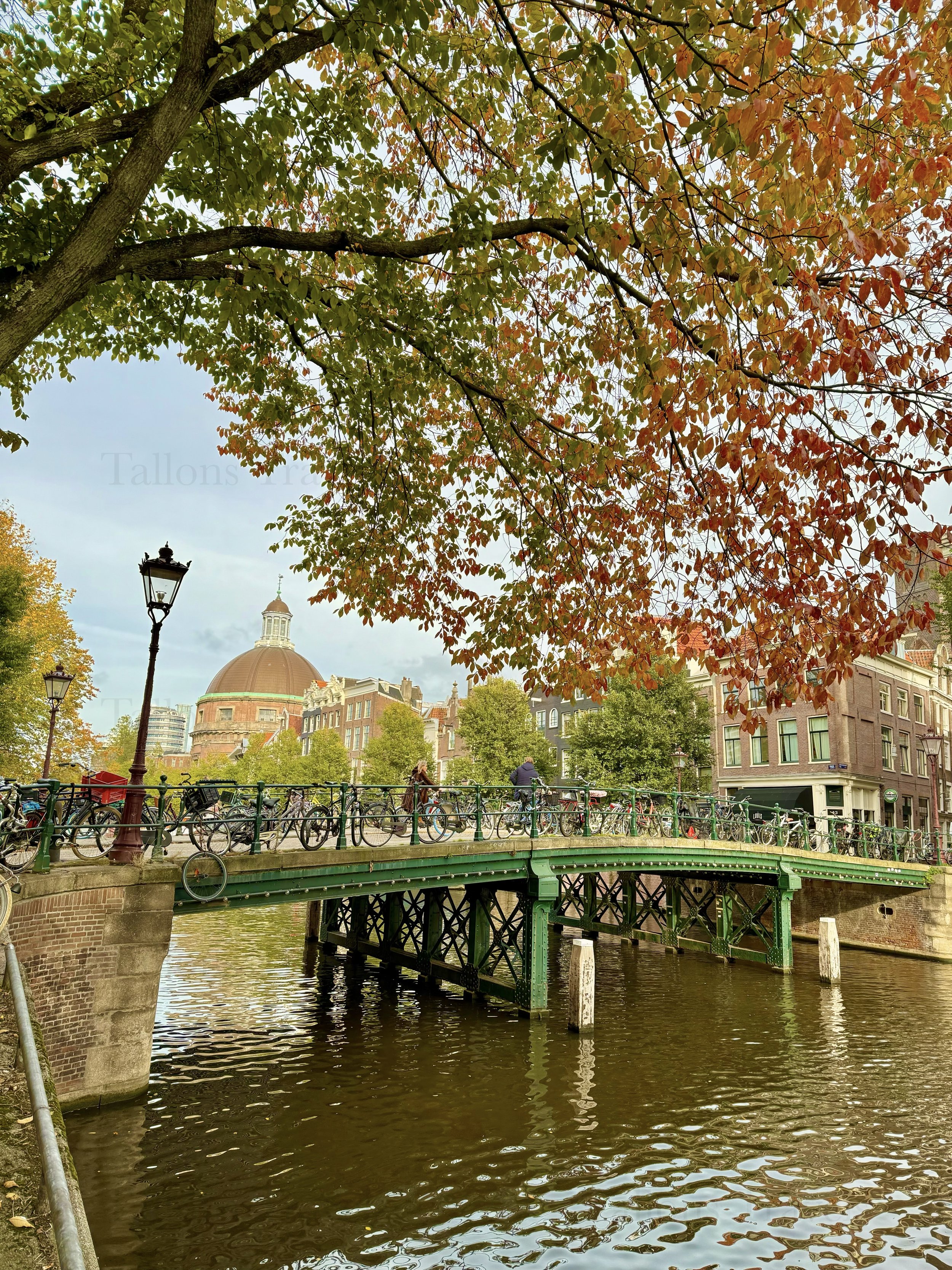 eZy Watermark_23-01-2026_11-38-41-8280AM.jpg