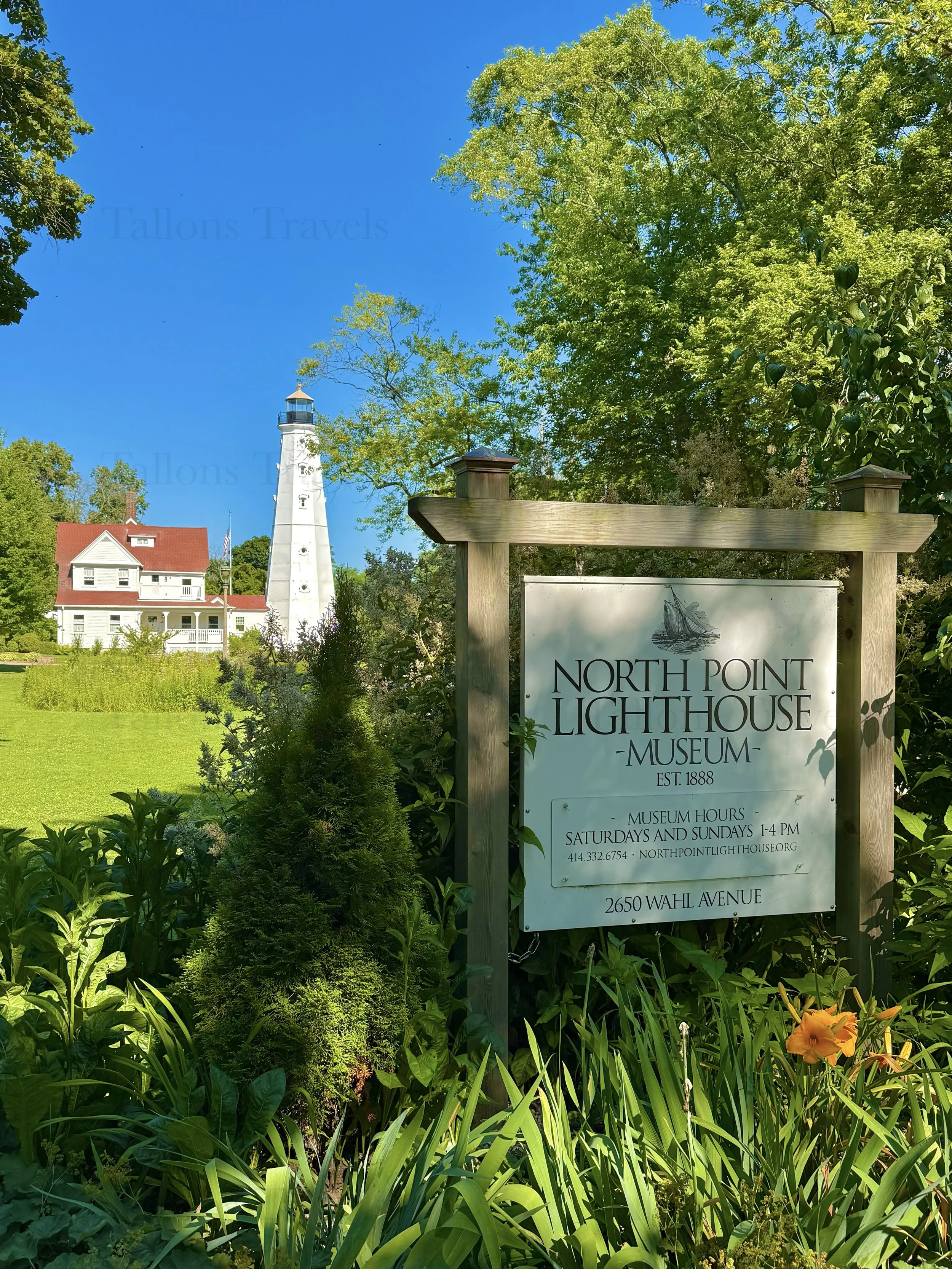 eZy Watermark_23-01-2026_10-40-01-0280PM.jpg