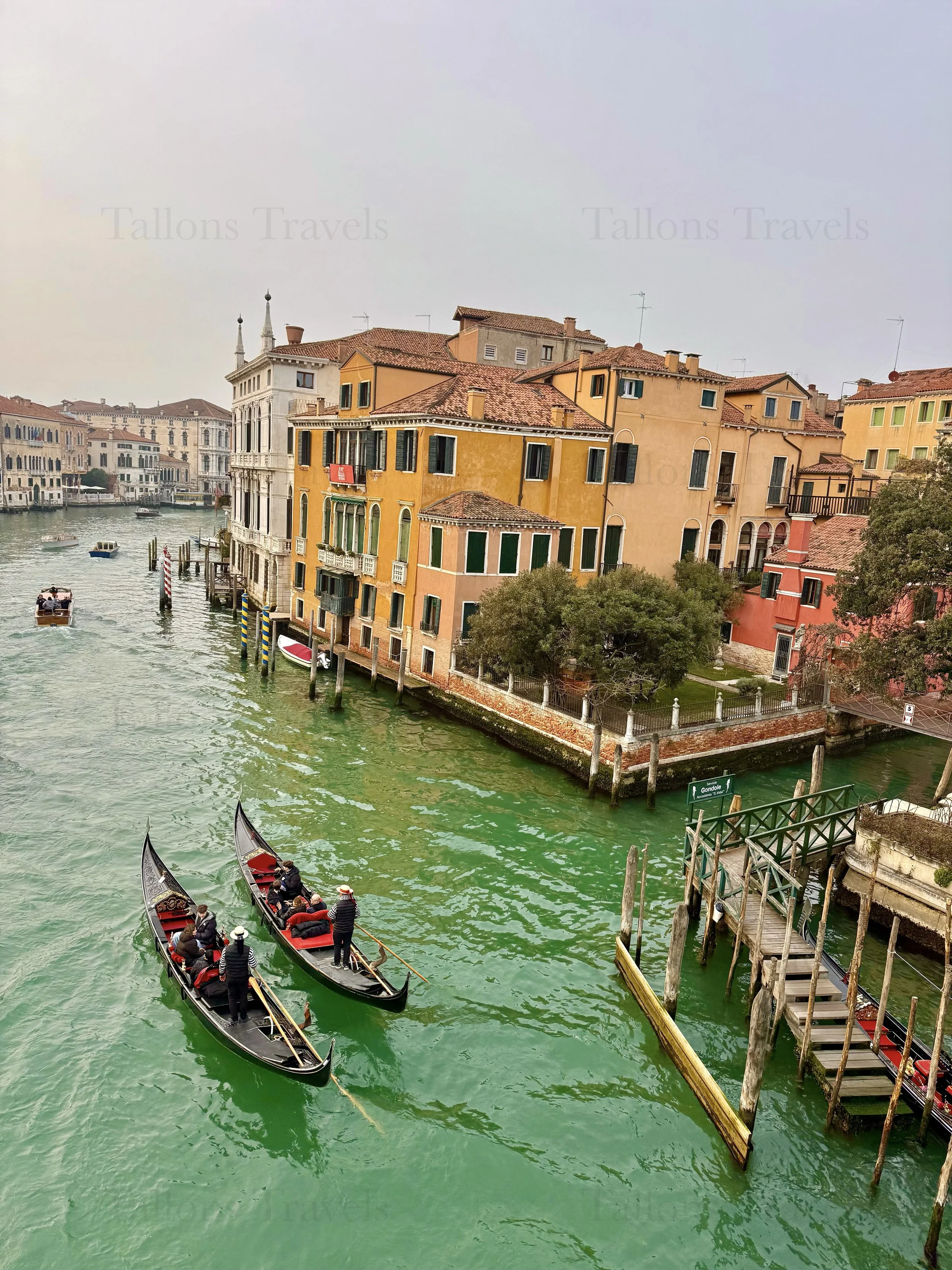 eZy Watermark_04-03-2026_06-25-54-3000PM.jpg