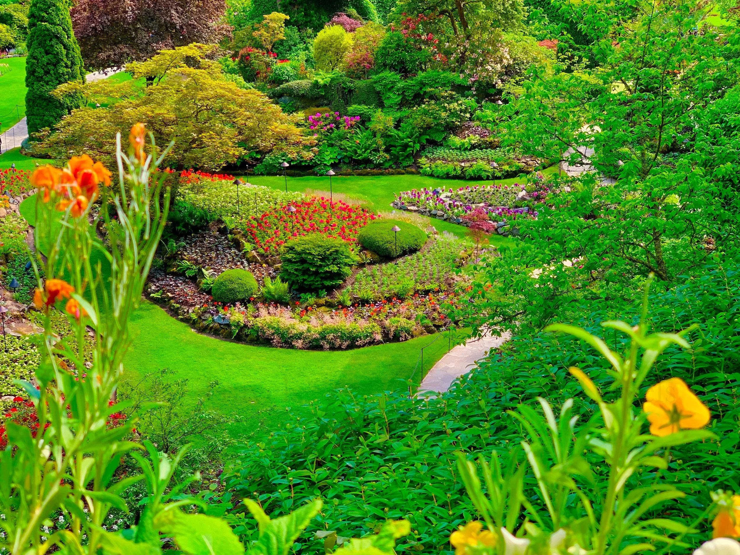 eZy Watermark_27-01-2026_09-11-11-8330PM.jpg