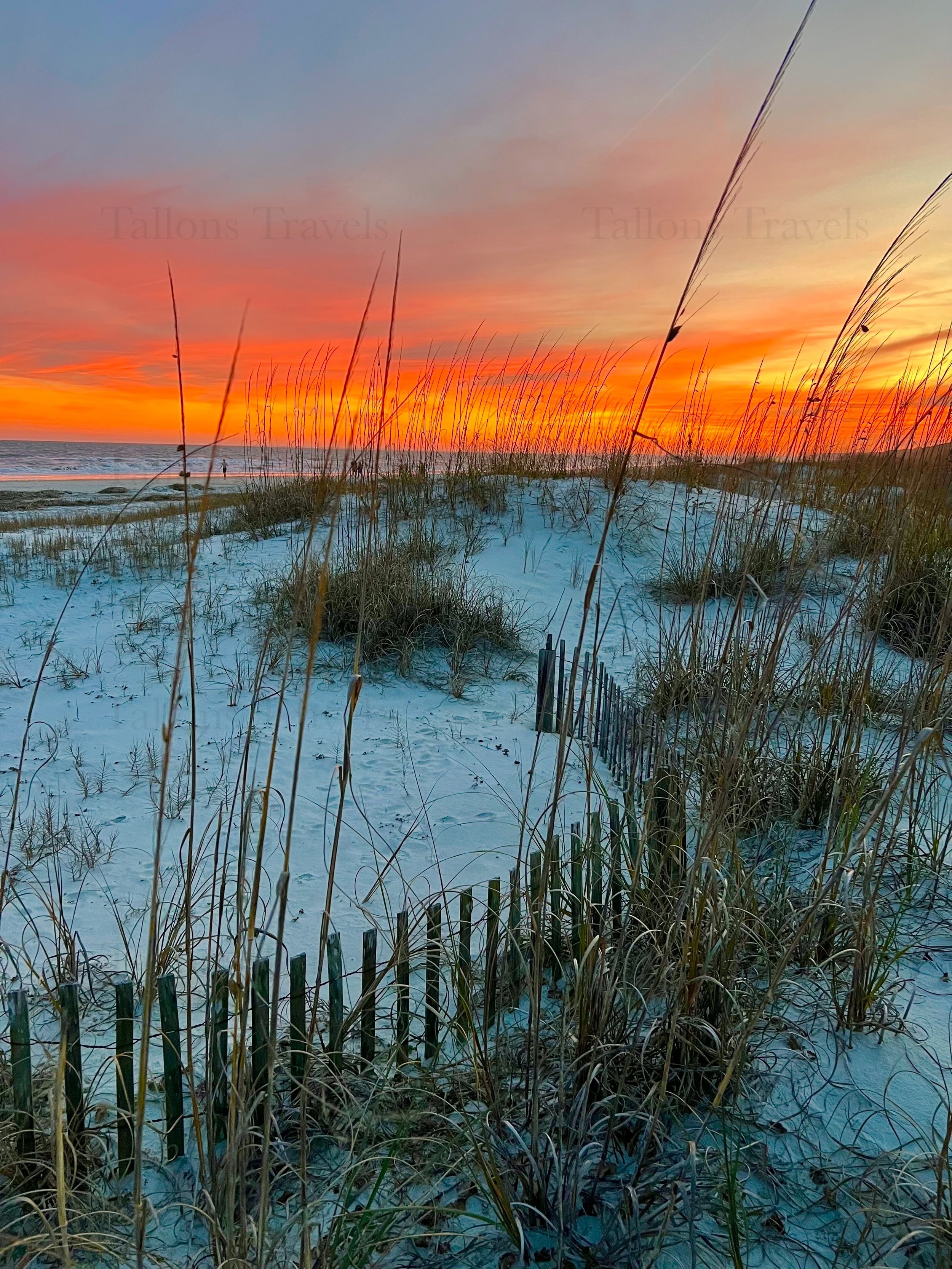 eZy Watermark_27-01-2026_10-08-44-6140PM.jpg