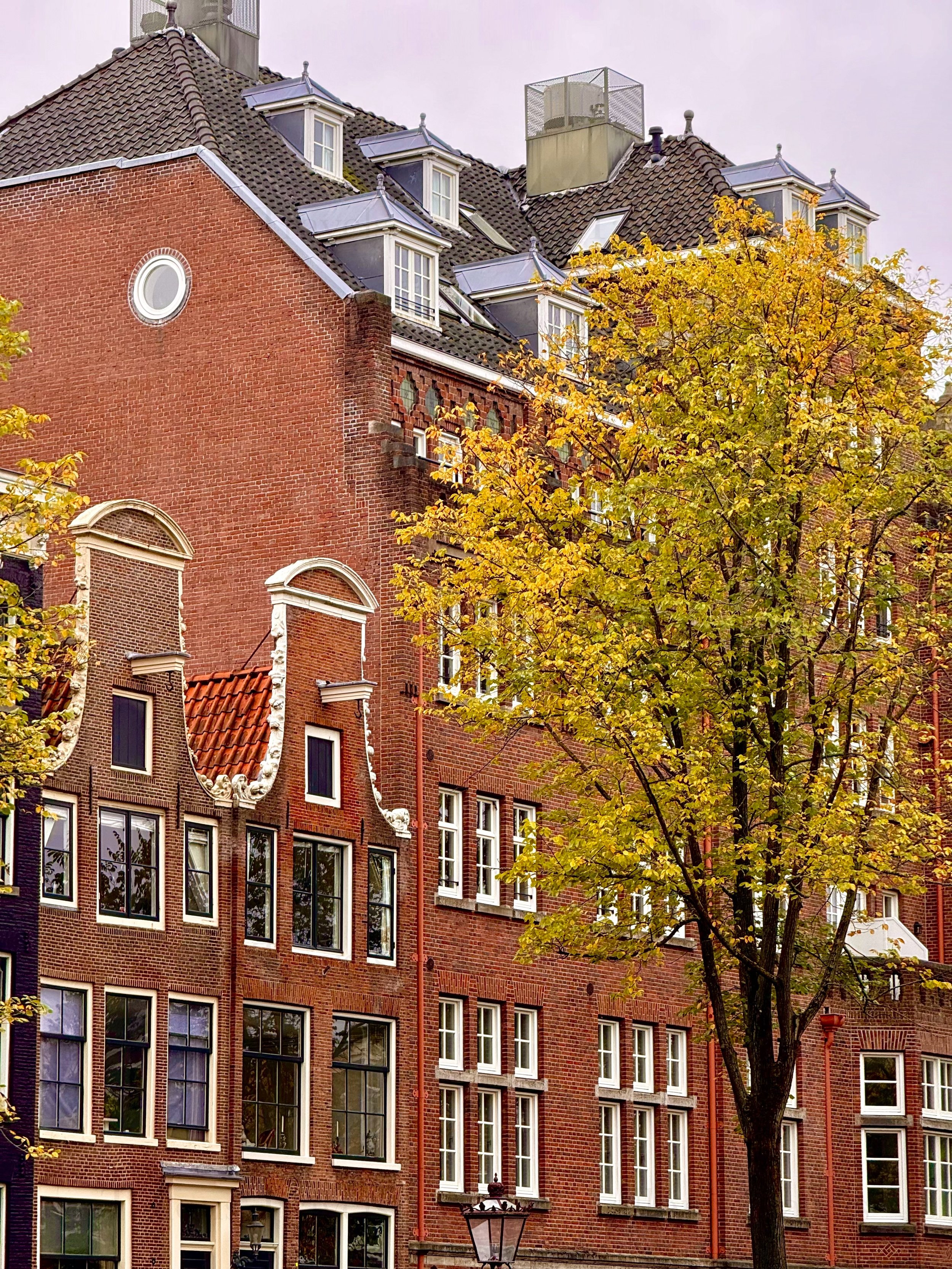 eZy Watermark_23-01-2026_11-37-48-8490AM.jpg