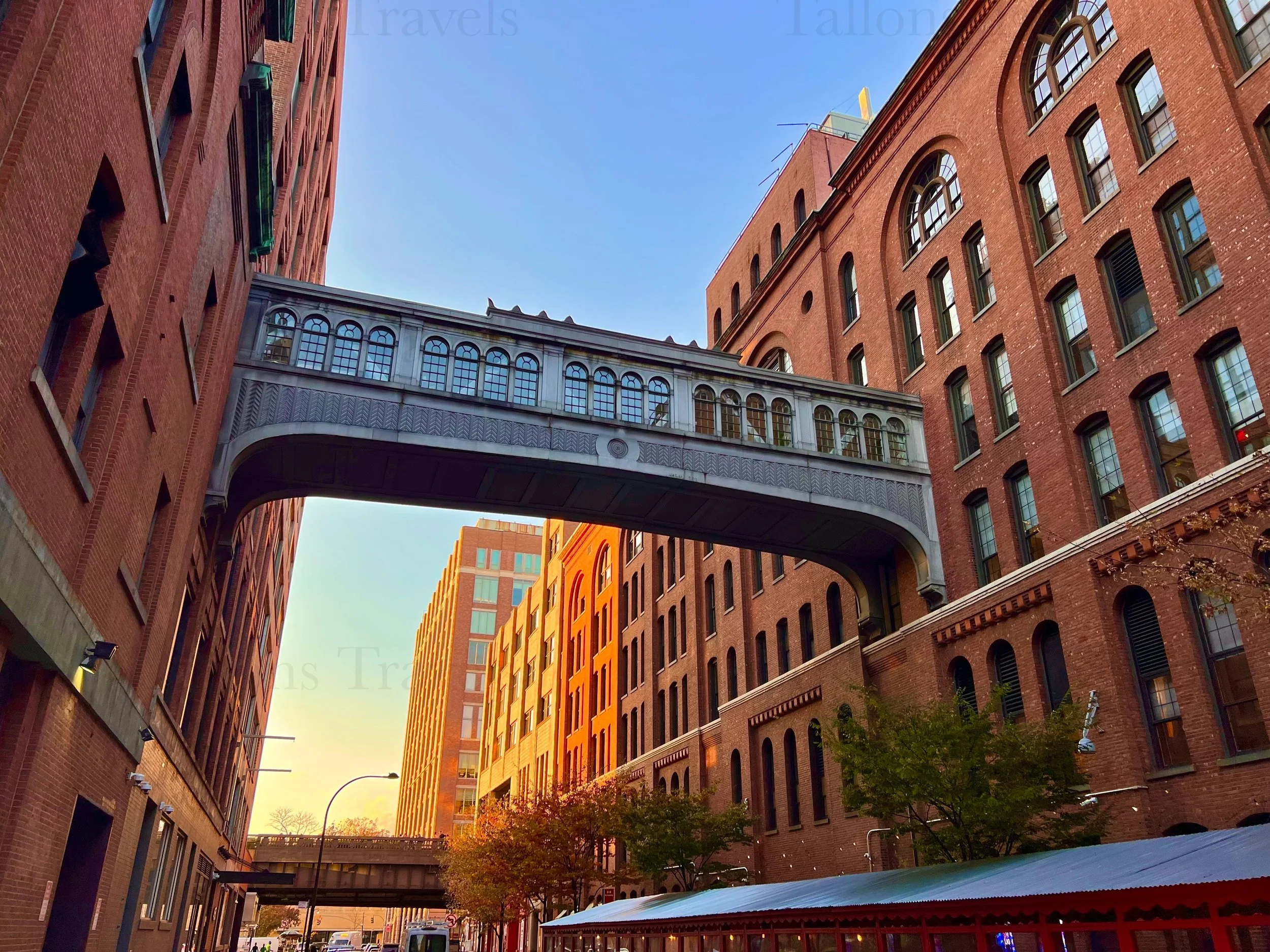 eZy Watermark_23-01-2026_11-20-00-4320PM.jpg