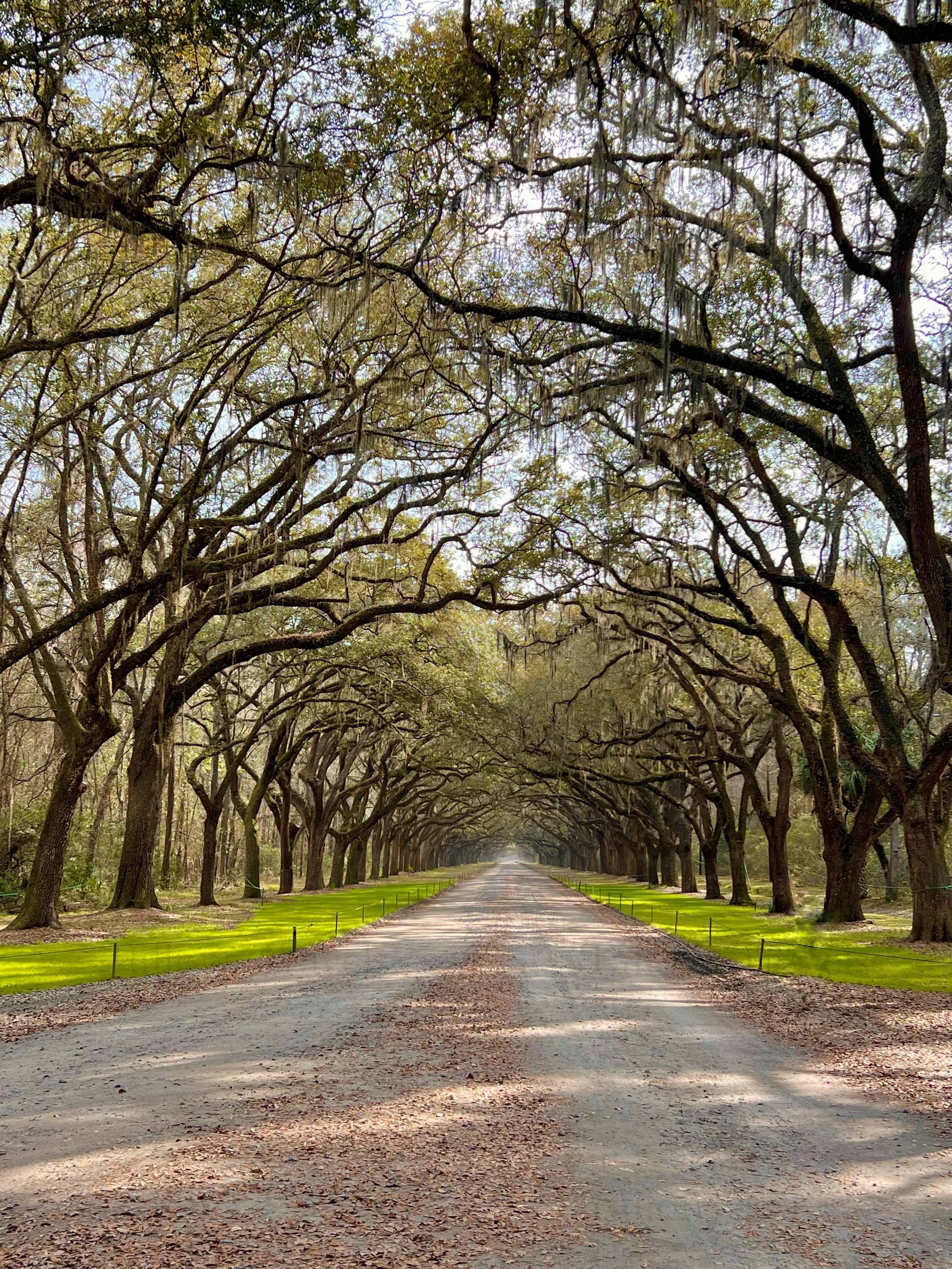 eZy Watermark_27-01-2026_10-08-19-1870PM.jpg