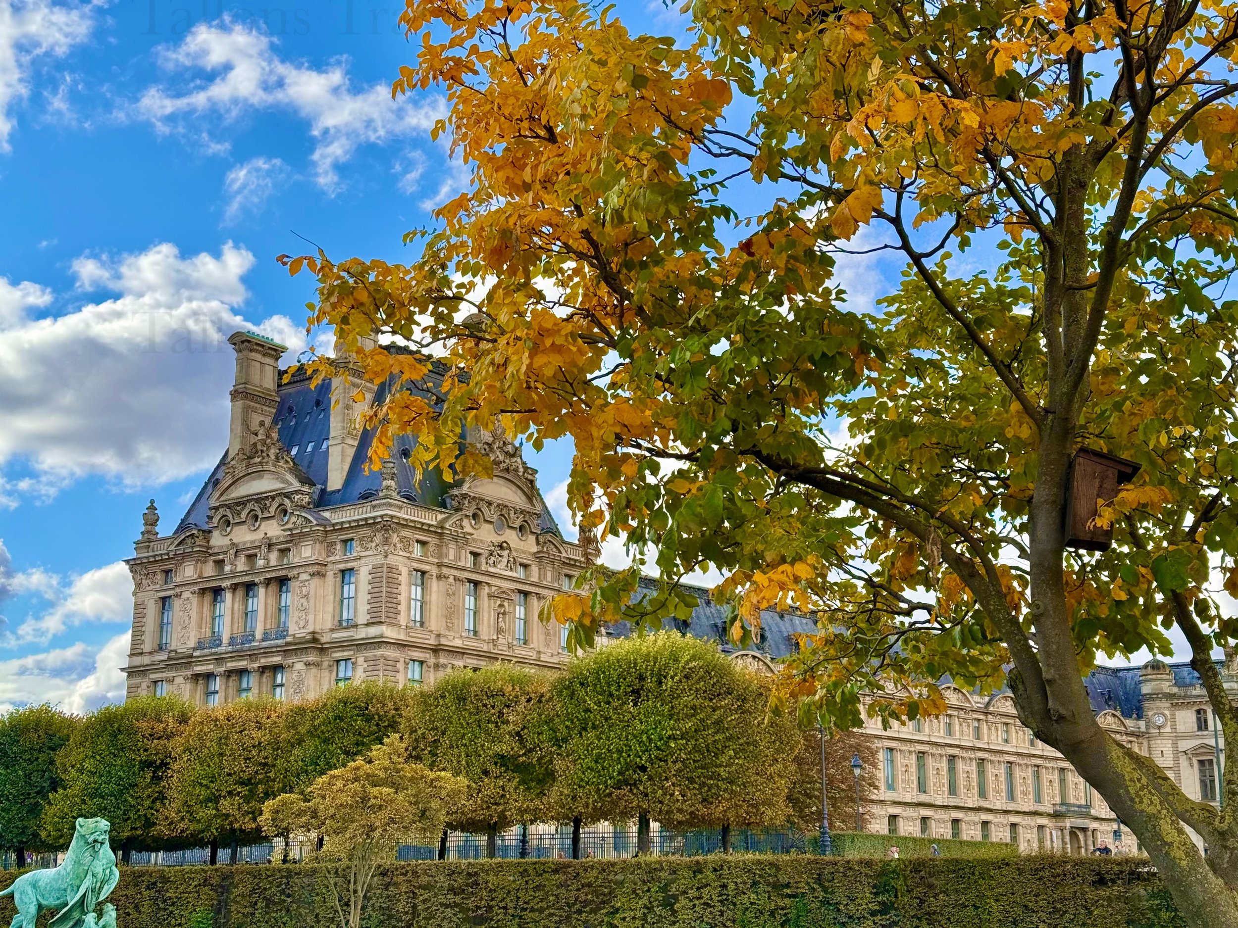 eZy Watermark_23-01-2026_09-40-36-3210PM.jpg