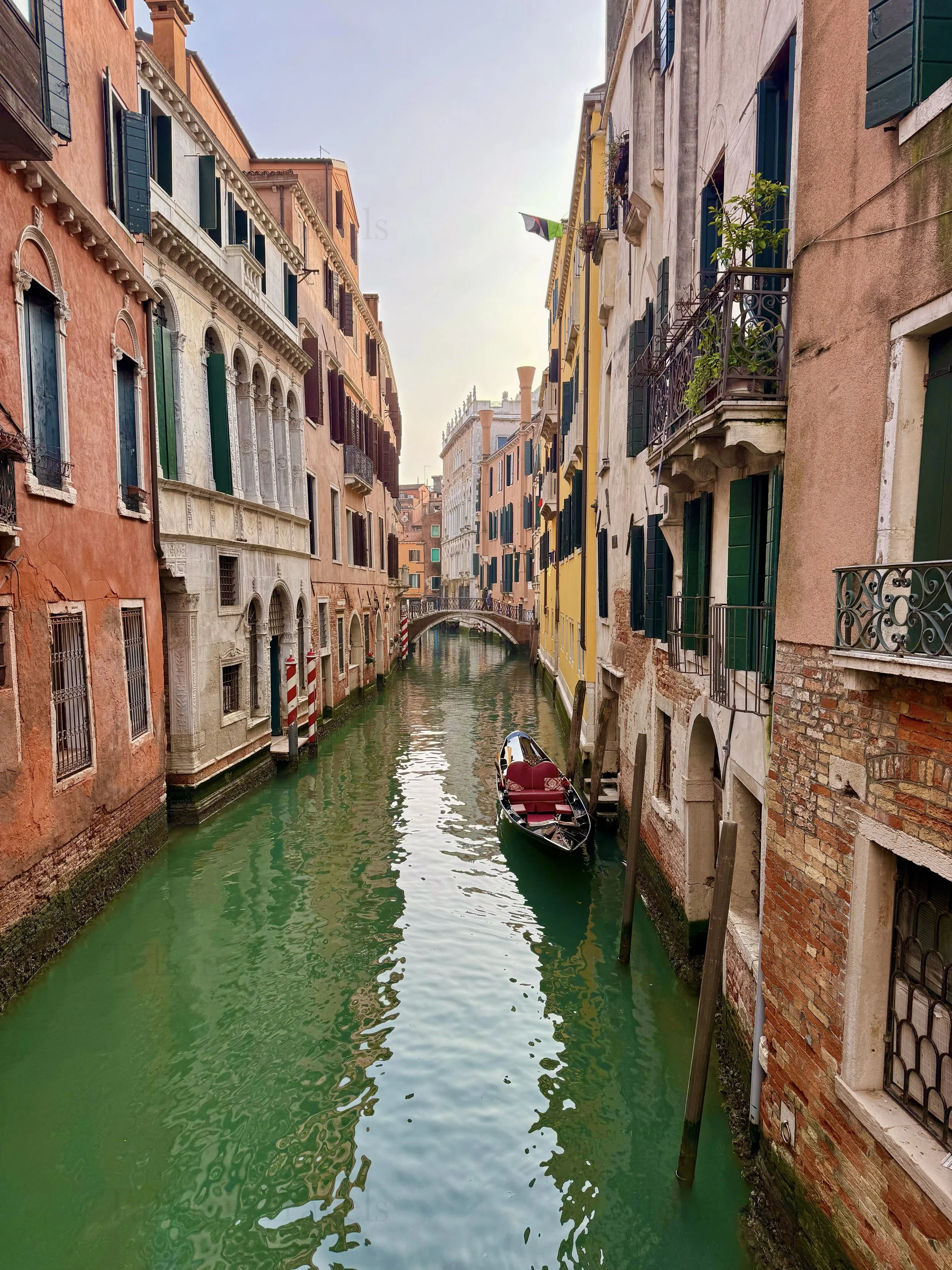 eZy Watermark_04-03-2026_06-25-15-0650PM.jpg