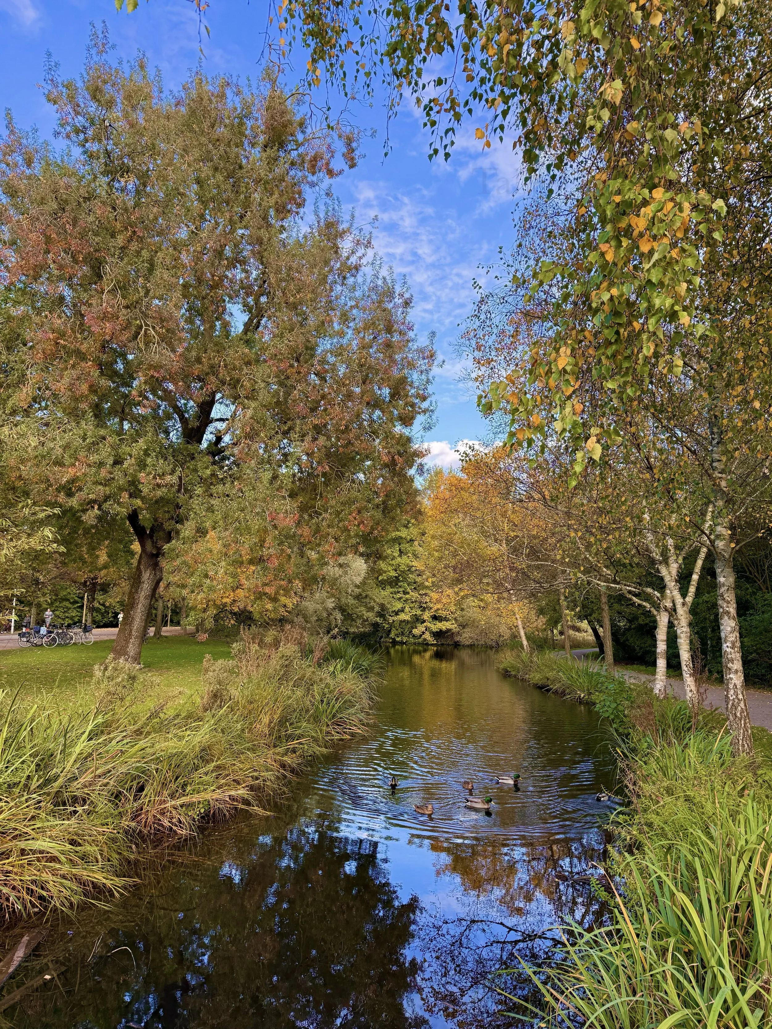 eZy Watermark_23-01-2026_11-37-03-4190AM.jpg