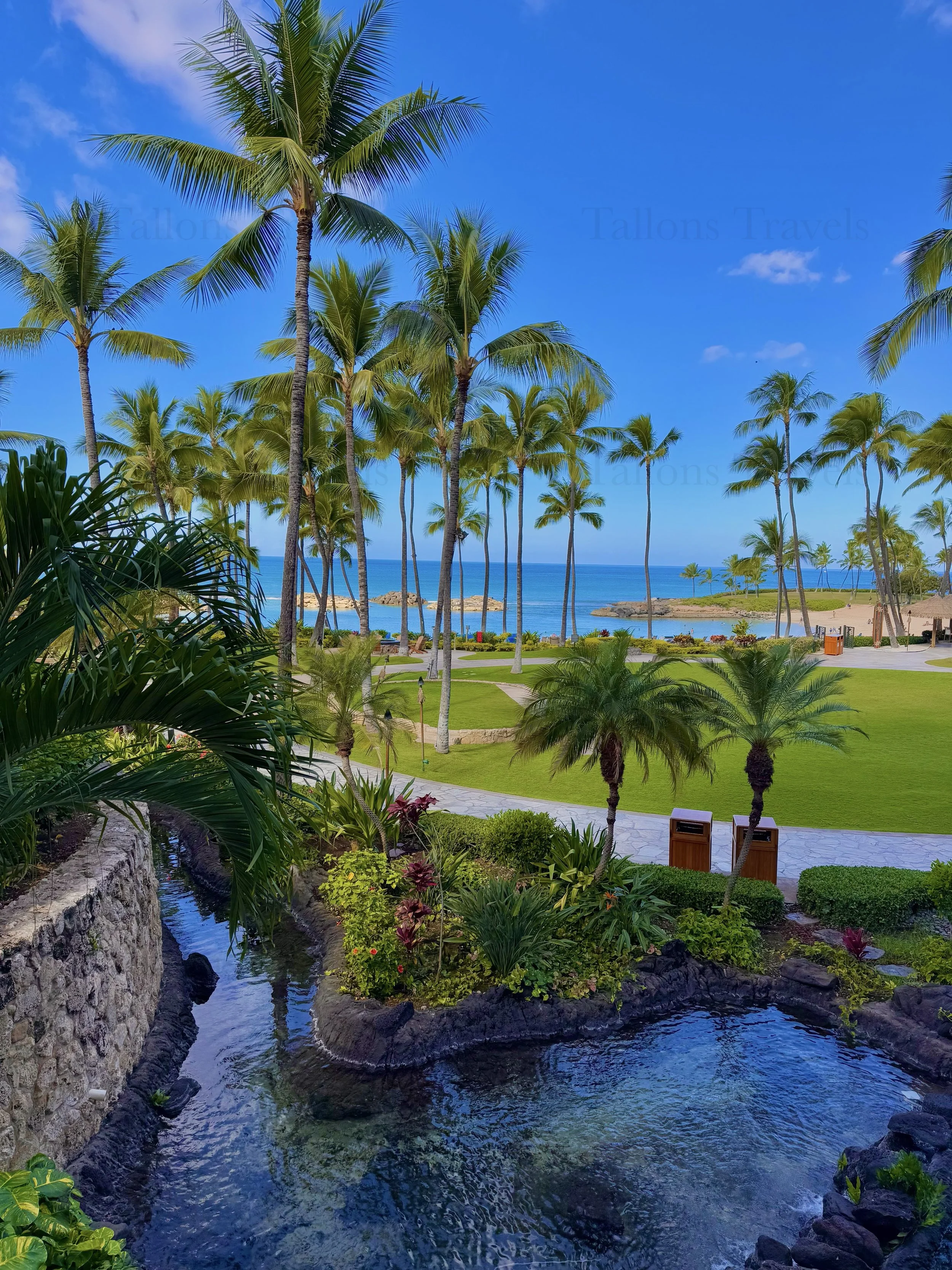 eZy Watermark_23-01-2026_10-21-10-4470PM.jpg