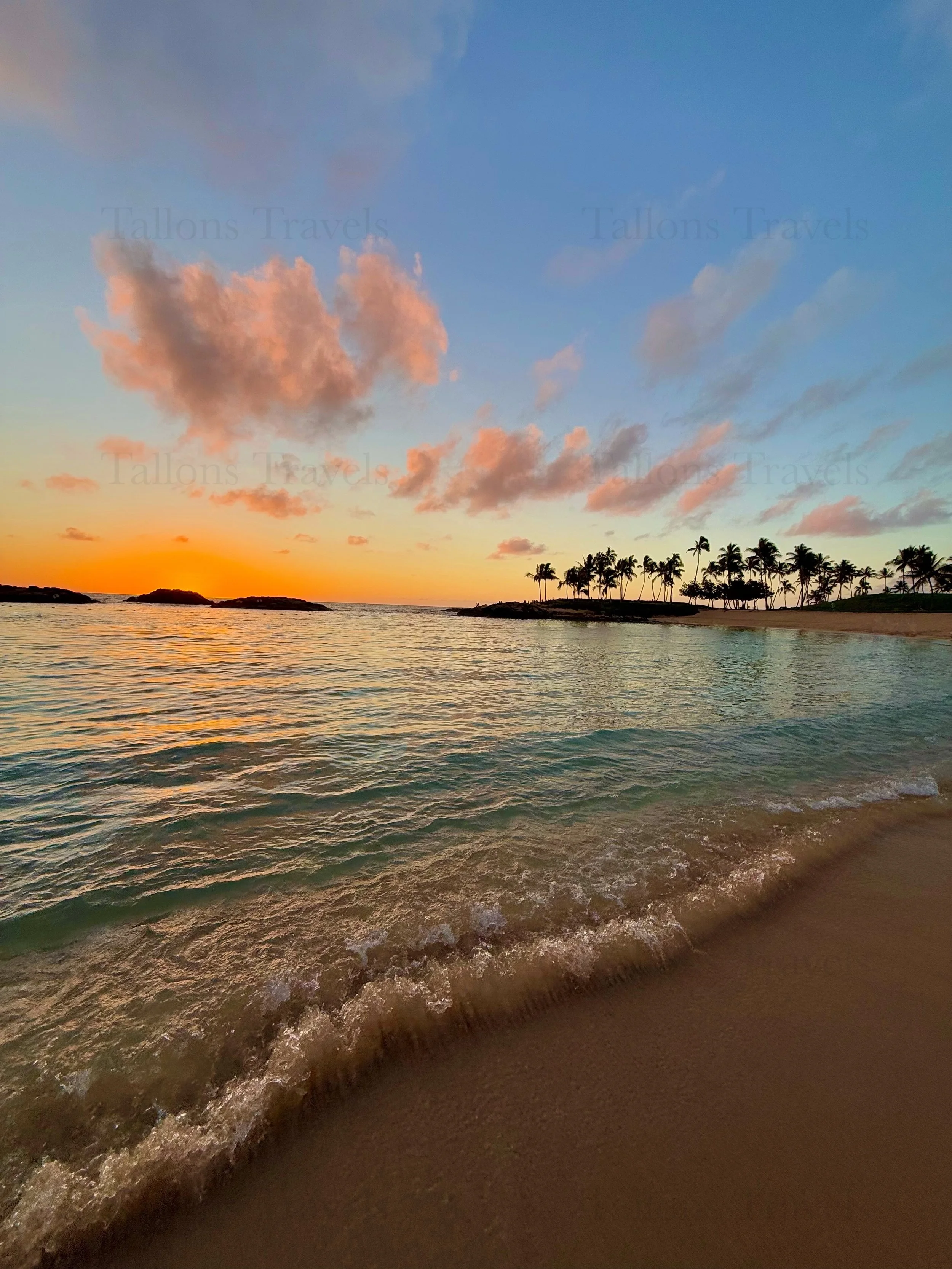 eZy Watermark_23-01-2026_10-20-07-6710PM.jpg