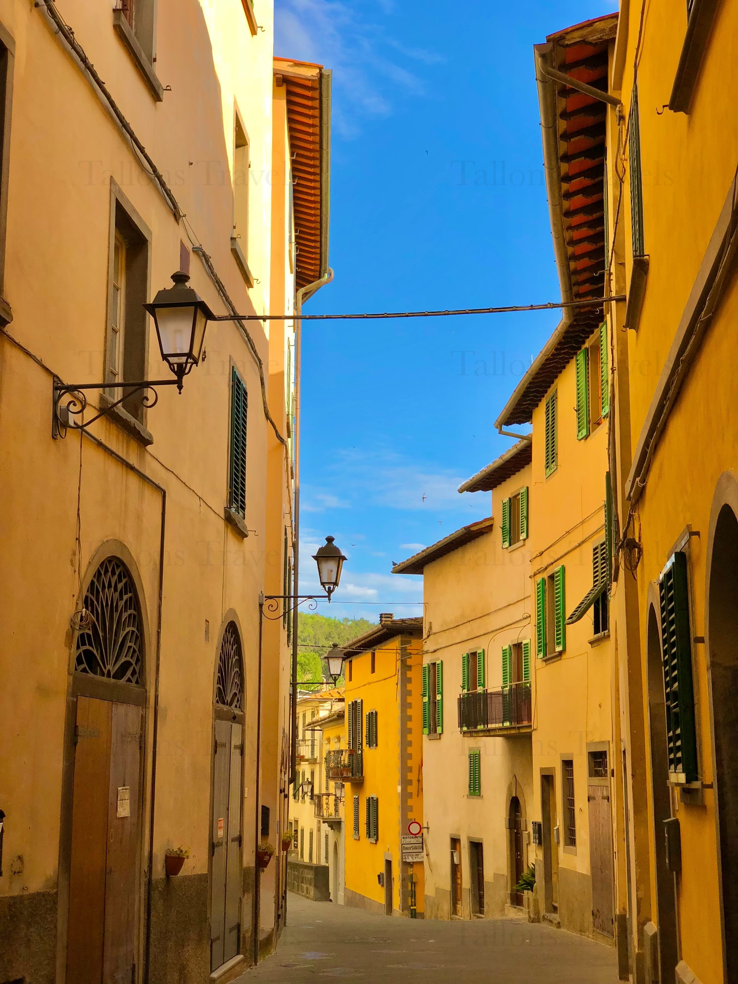 eZy Watermark_24-01-2026_08-10-21-2020PM.jpg